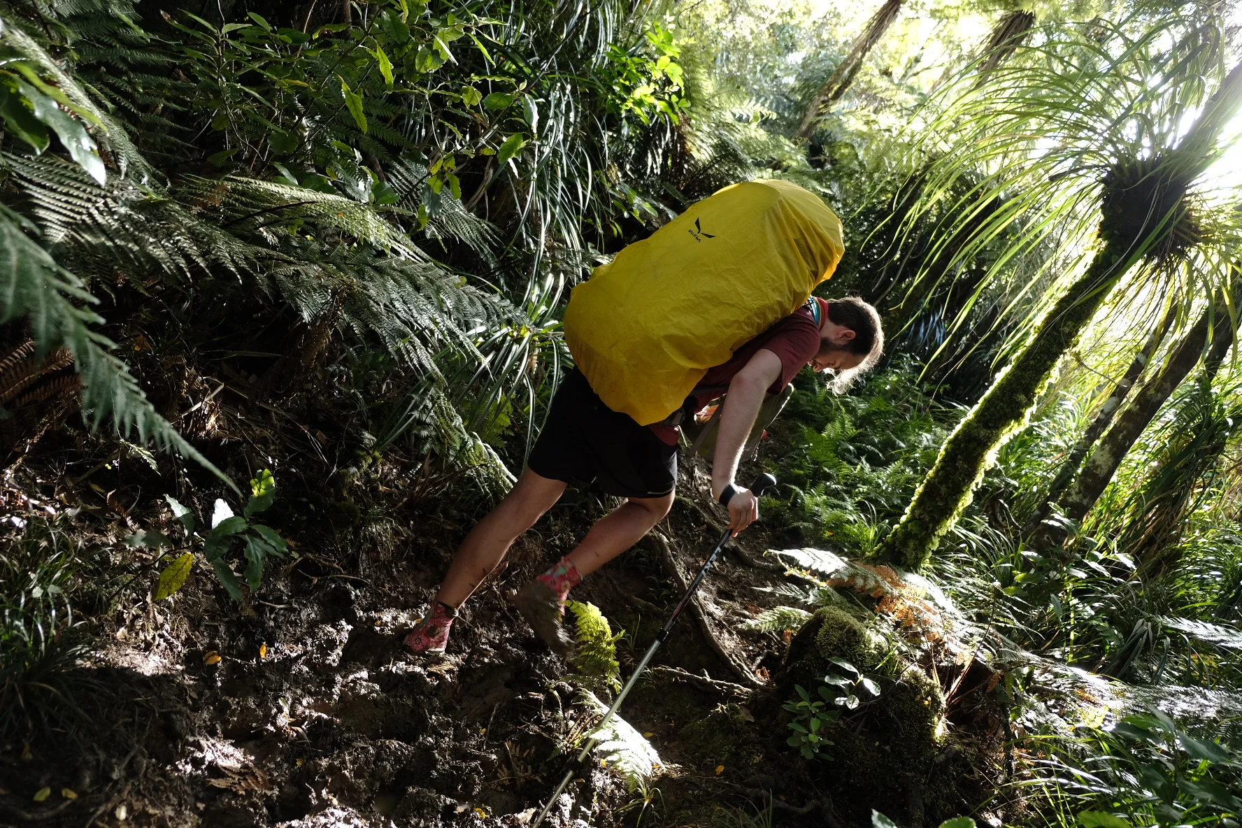 Te Araroa part 2: Mud ( and roads)