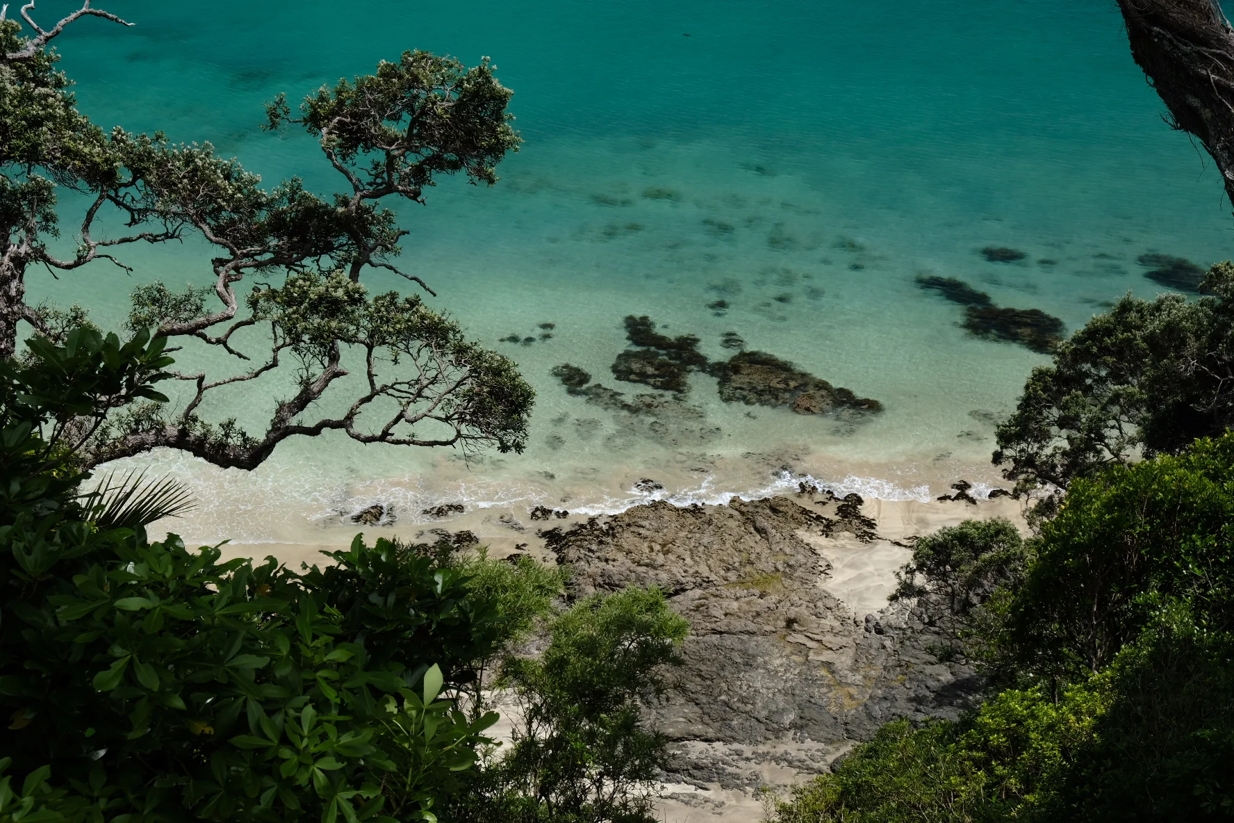 Te Araroa part 3: Water