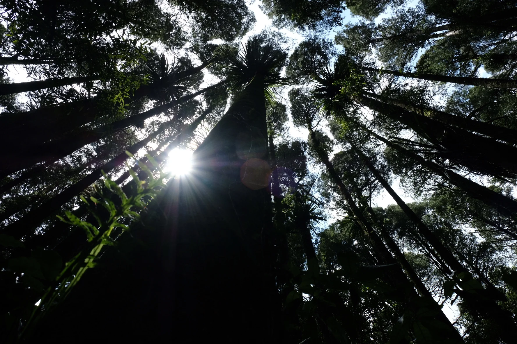 Te Araroa Part 6: The tramp that goes wrong