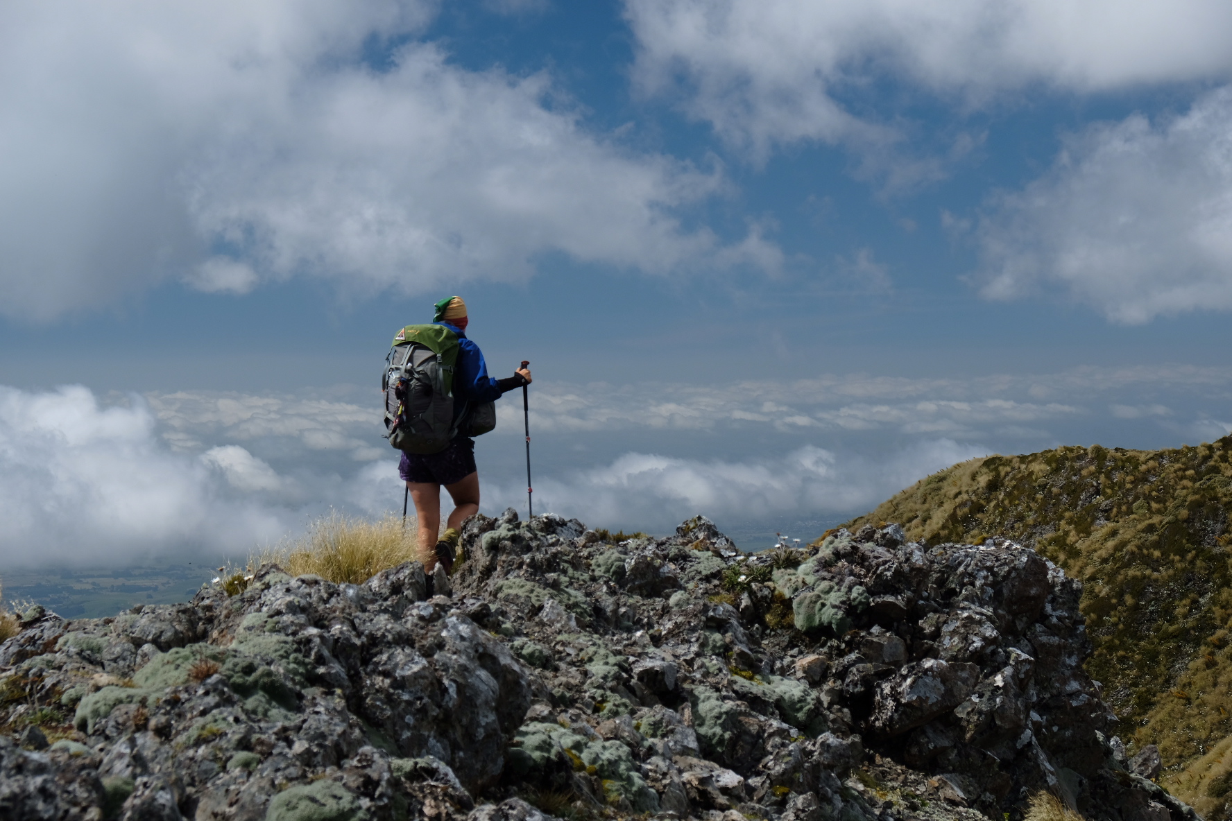 Te Araroa Part 10: the Tararua zigzag