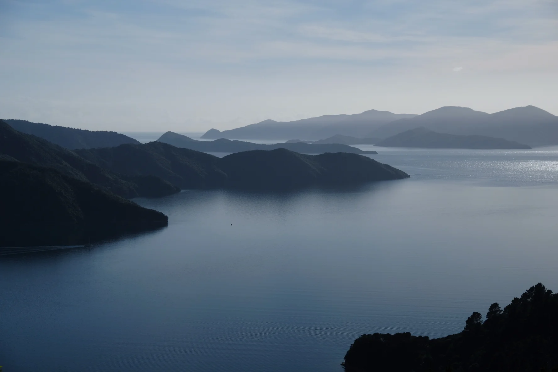 Te Araroa Part 12: Cicada sounds