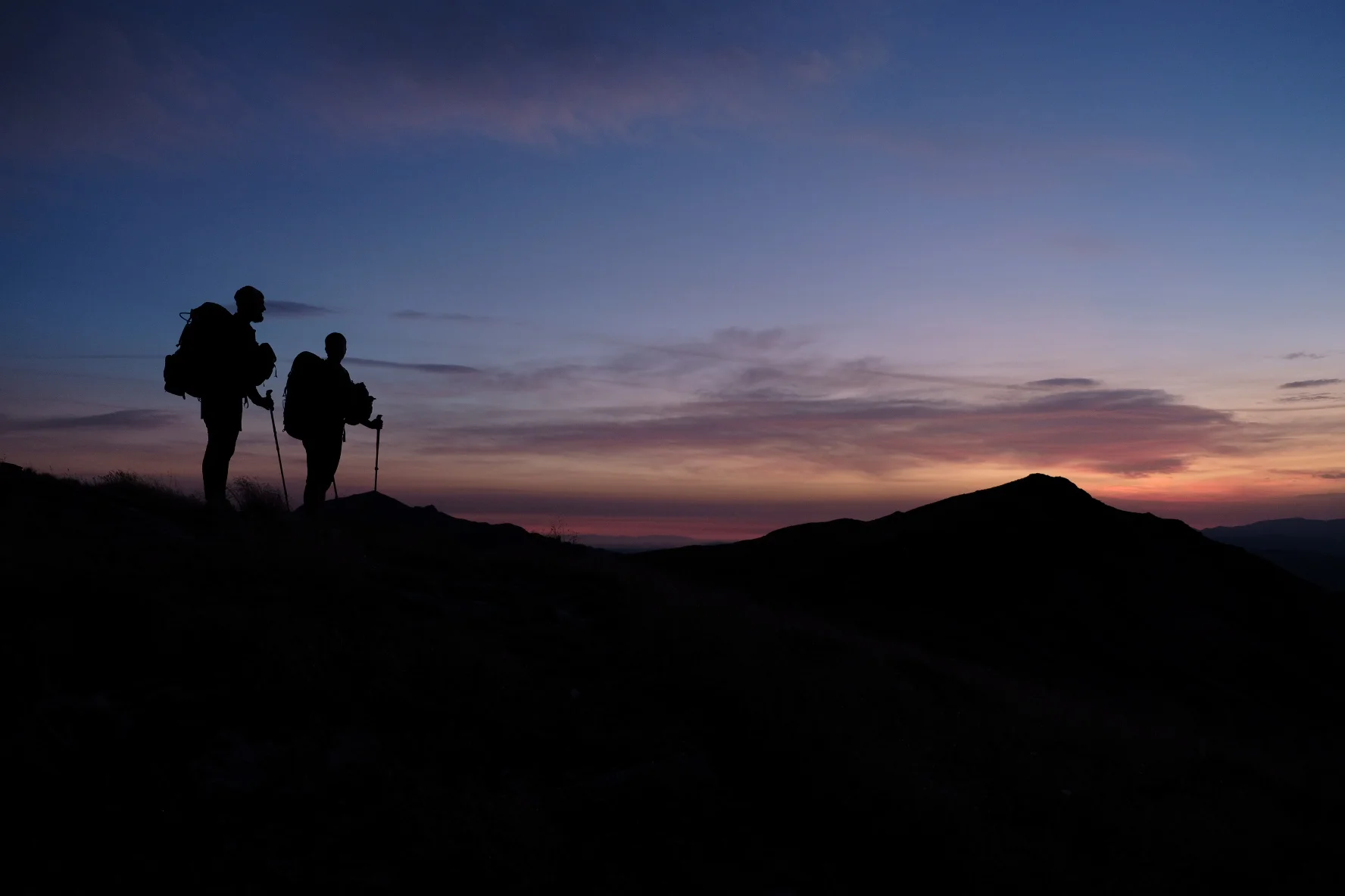 Te Araroa Part 13: the Wekaweka Conspiracy