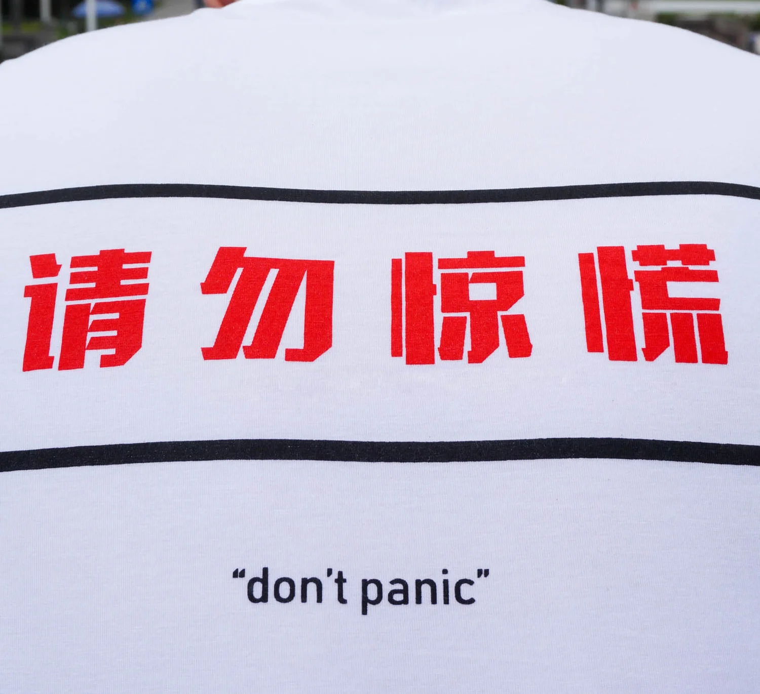 Cotton T-shirt.jpg