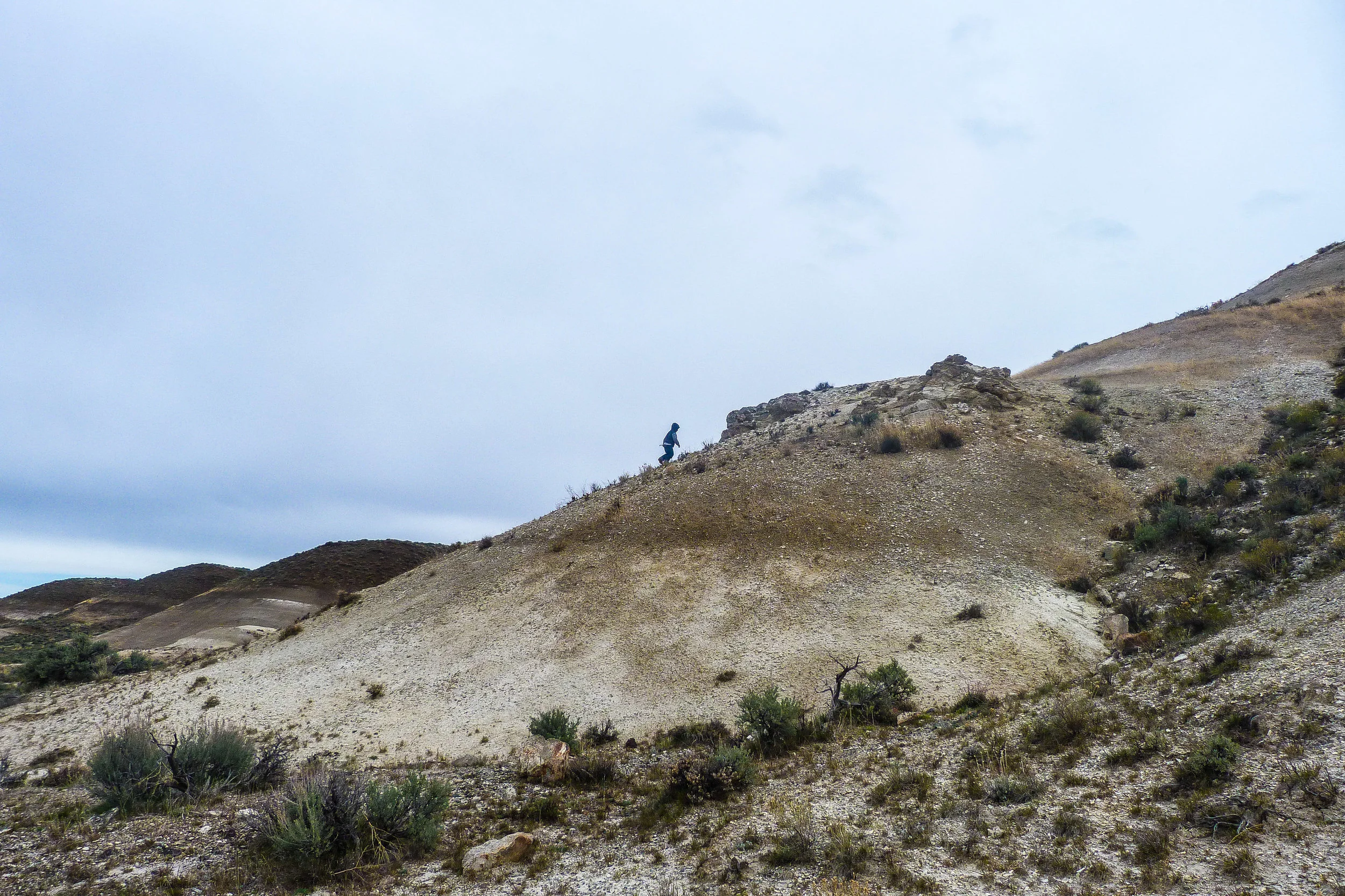 The boys climbed dunes and scared mama with their head-long runs down.