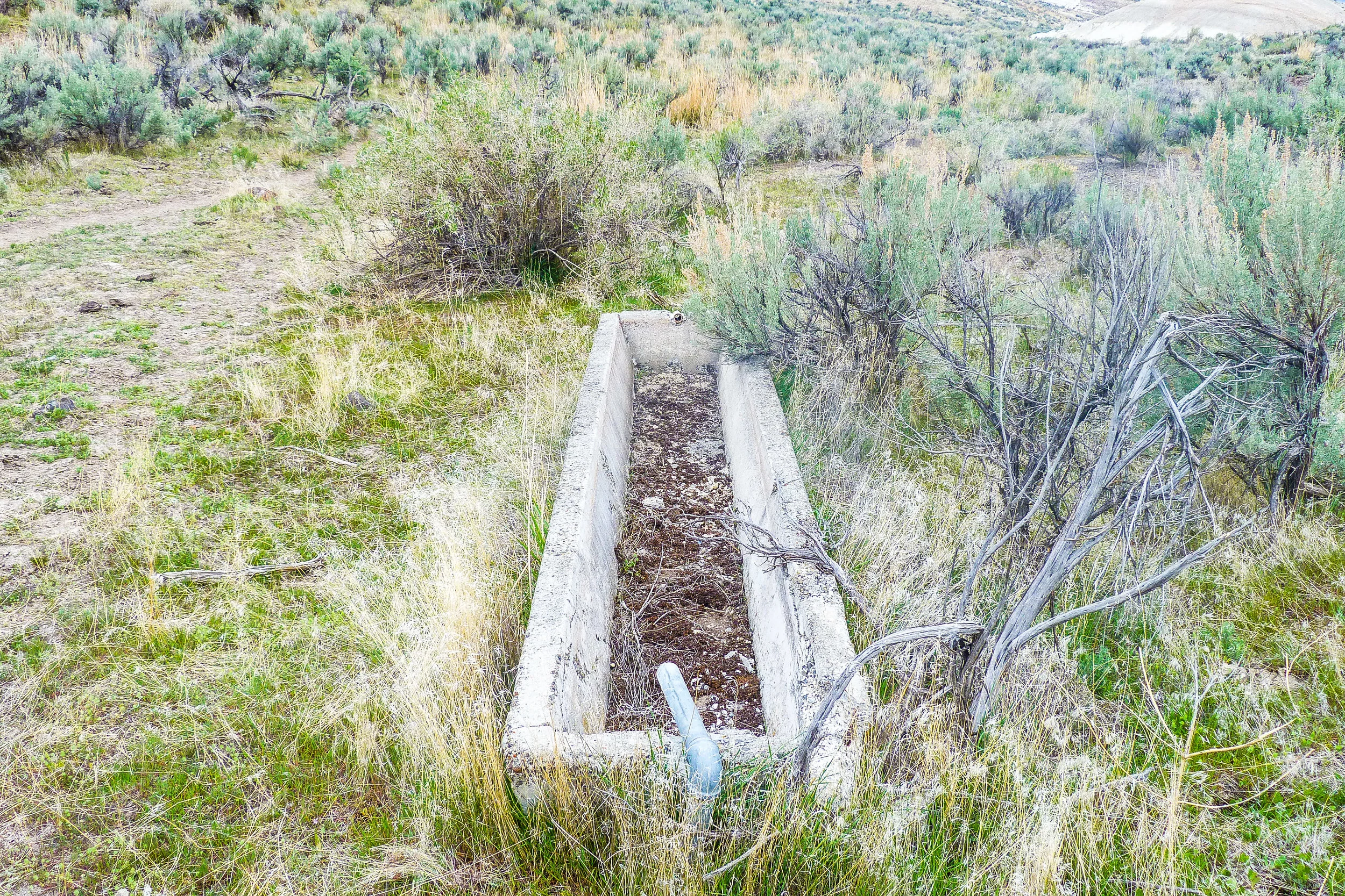 One of multiple abandon troughs, all from different times. 
