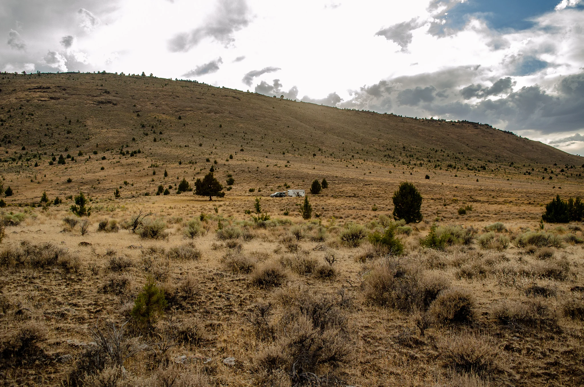 DSC_0705.jpg