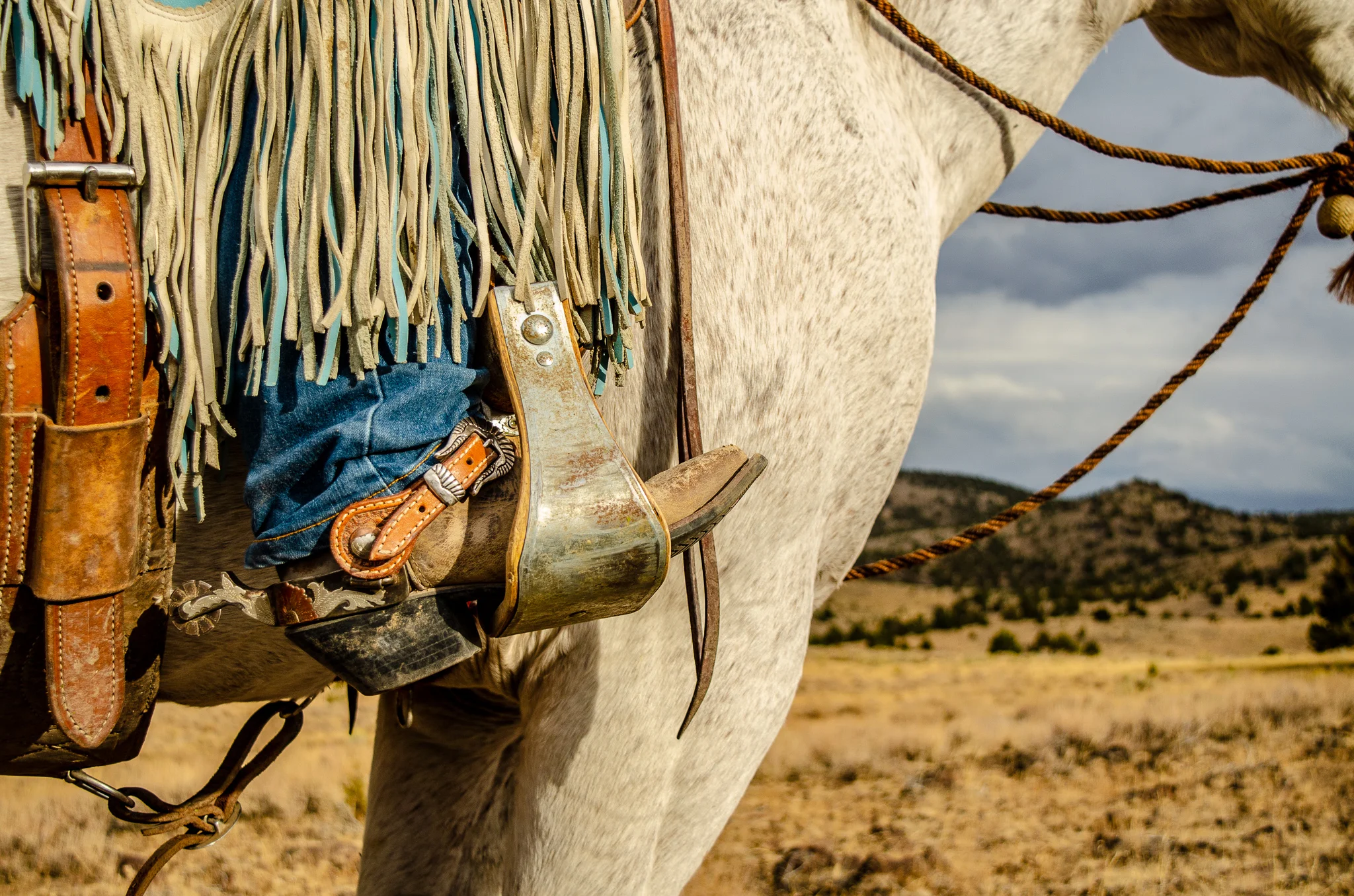 “Go ahead and pull down my pants,” Morgan said in response to spur pictures. I don’t think our laughing sprees helped with our time crunch, but we had fun? Spurs by KDM Bits and Spurs.