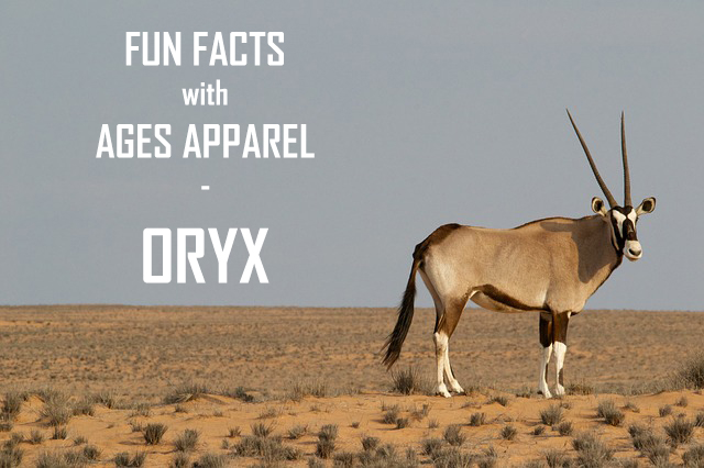 oryxheader.jpg