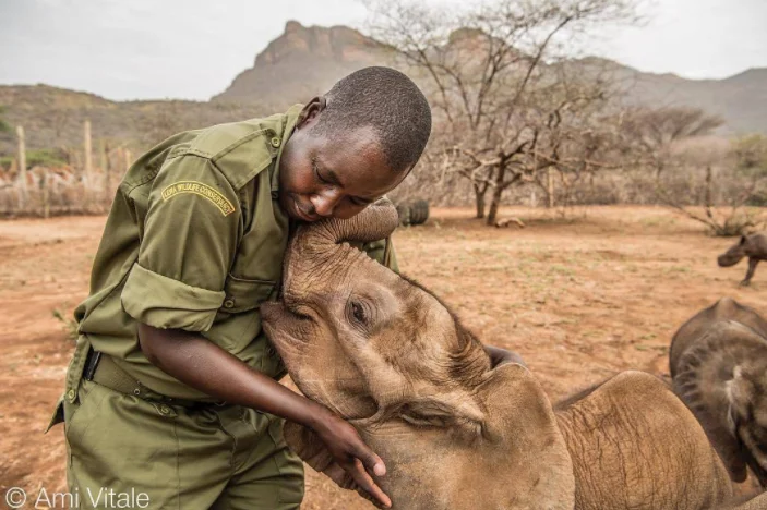 Wildlife keeper Kamara has spent 10 years at Lewa Wildlife Conservancy and is an expert in caring for orphaned animals, from baby rhinos to lions and now he is working at Reteti Elephant Sanctuary where he is raising an orphaned baby rhino but also gives love to the elephants when they need it. The team will work to rehabilitate these orphaned and abandoned elephants and reunite them with their wild herds which I think we can all agree is a great thing to do.