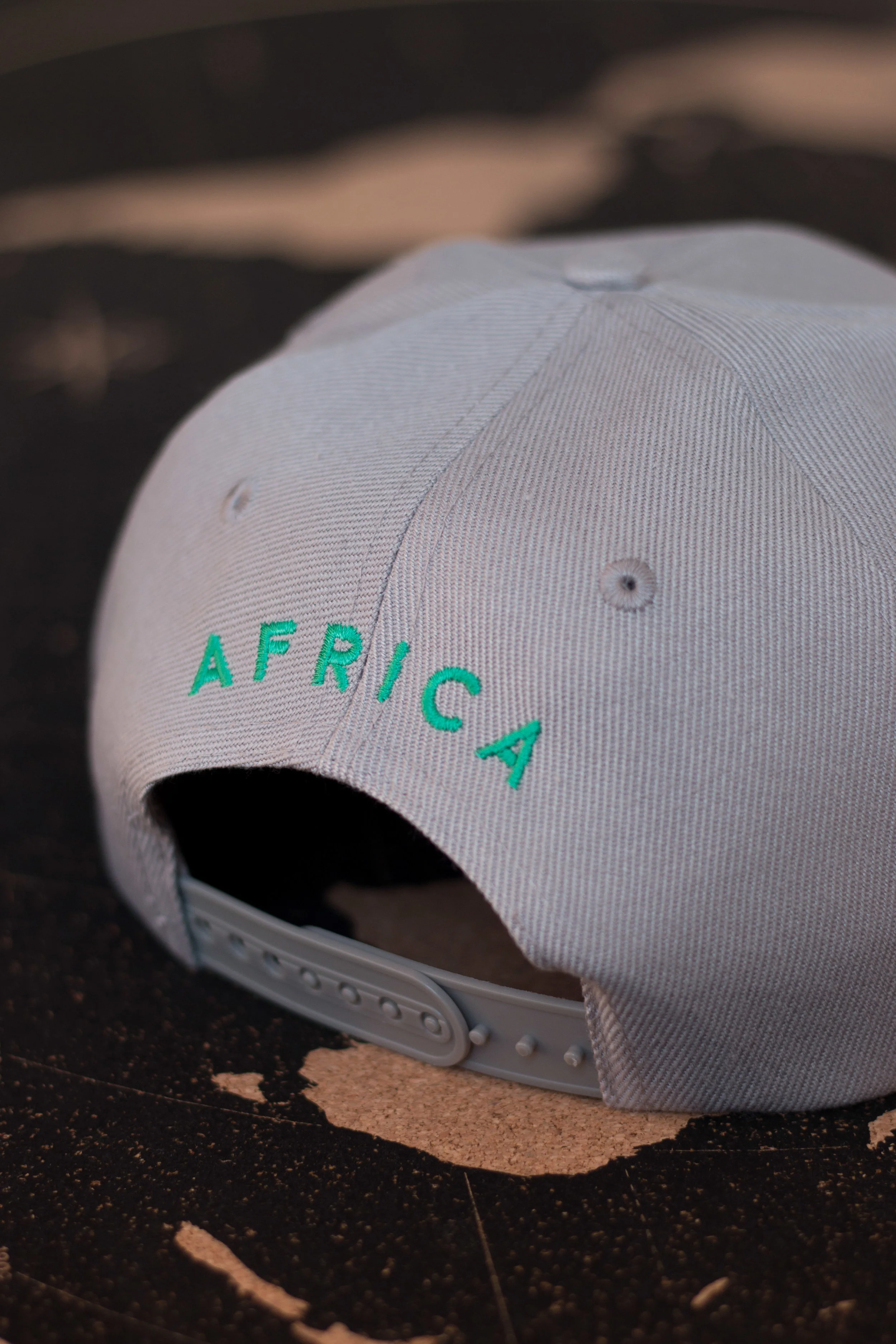 Cheetah Drop (7 of 21).JPG