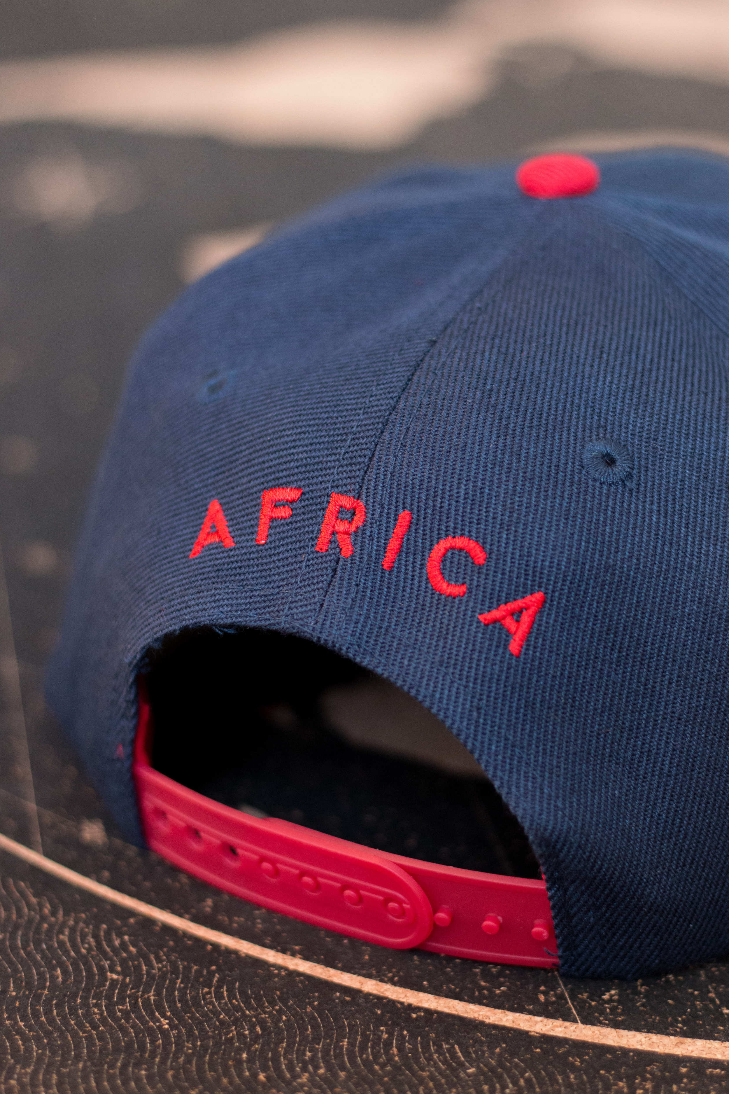 Cheetah Drop (11 of 21).JPG