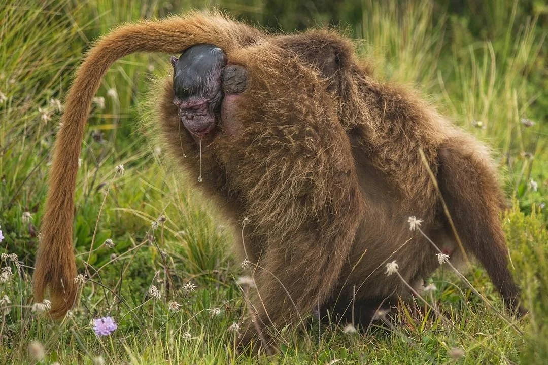 At first glance I thought this was some kind of alien, but then I realised what this actually was... Once realised it changes from a sight of horror to one of beauty and new life being introduced to the world.