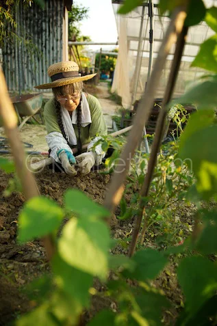 Jeannie Tong, Green Patch farm