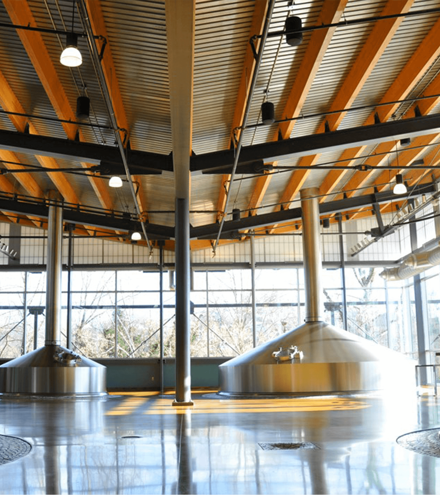 avl brewhouse tour.png