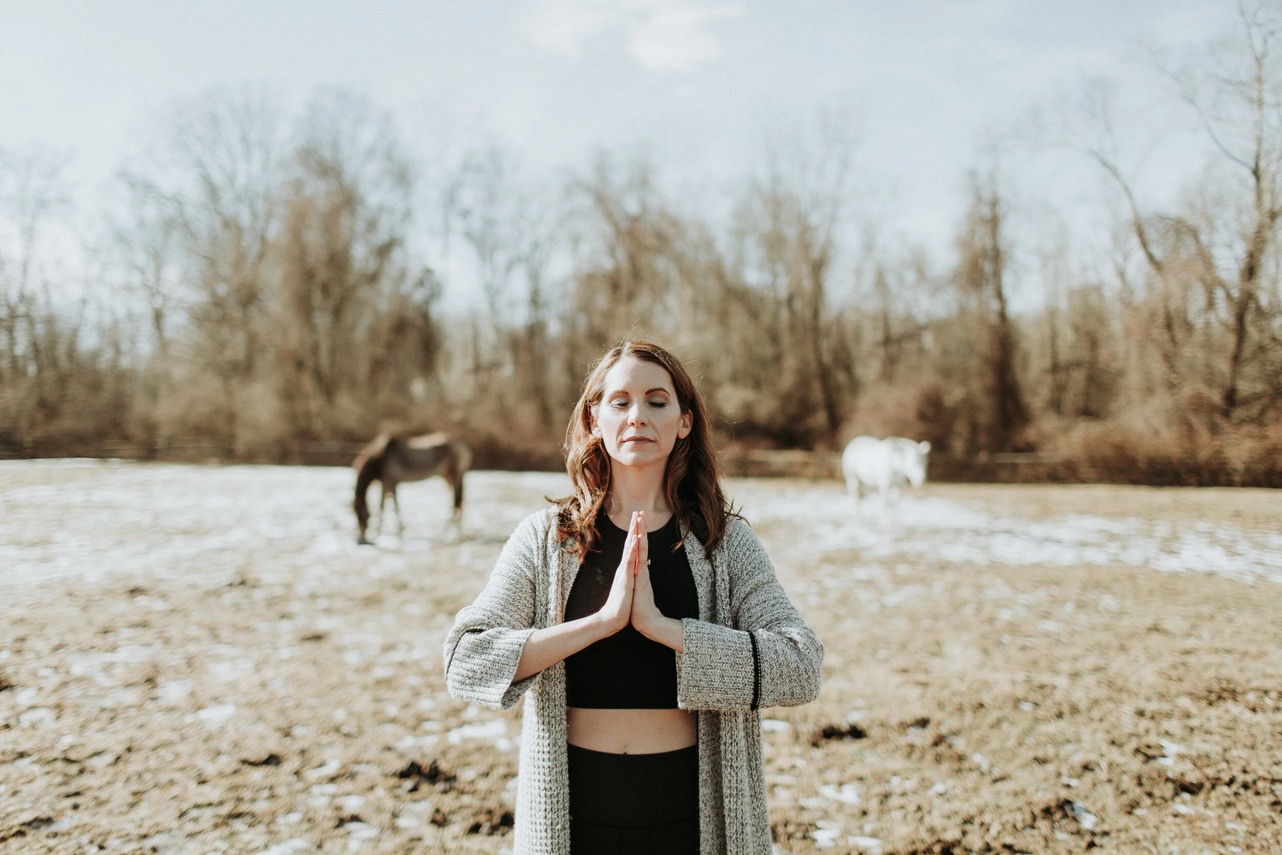 prayer_horses.jpg