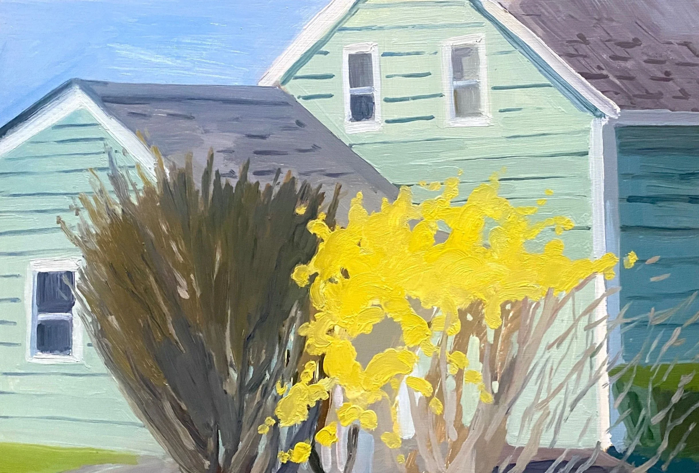Emily's Forsythia I, 2024, oil on panel, 14 x 24"