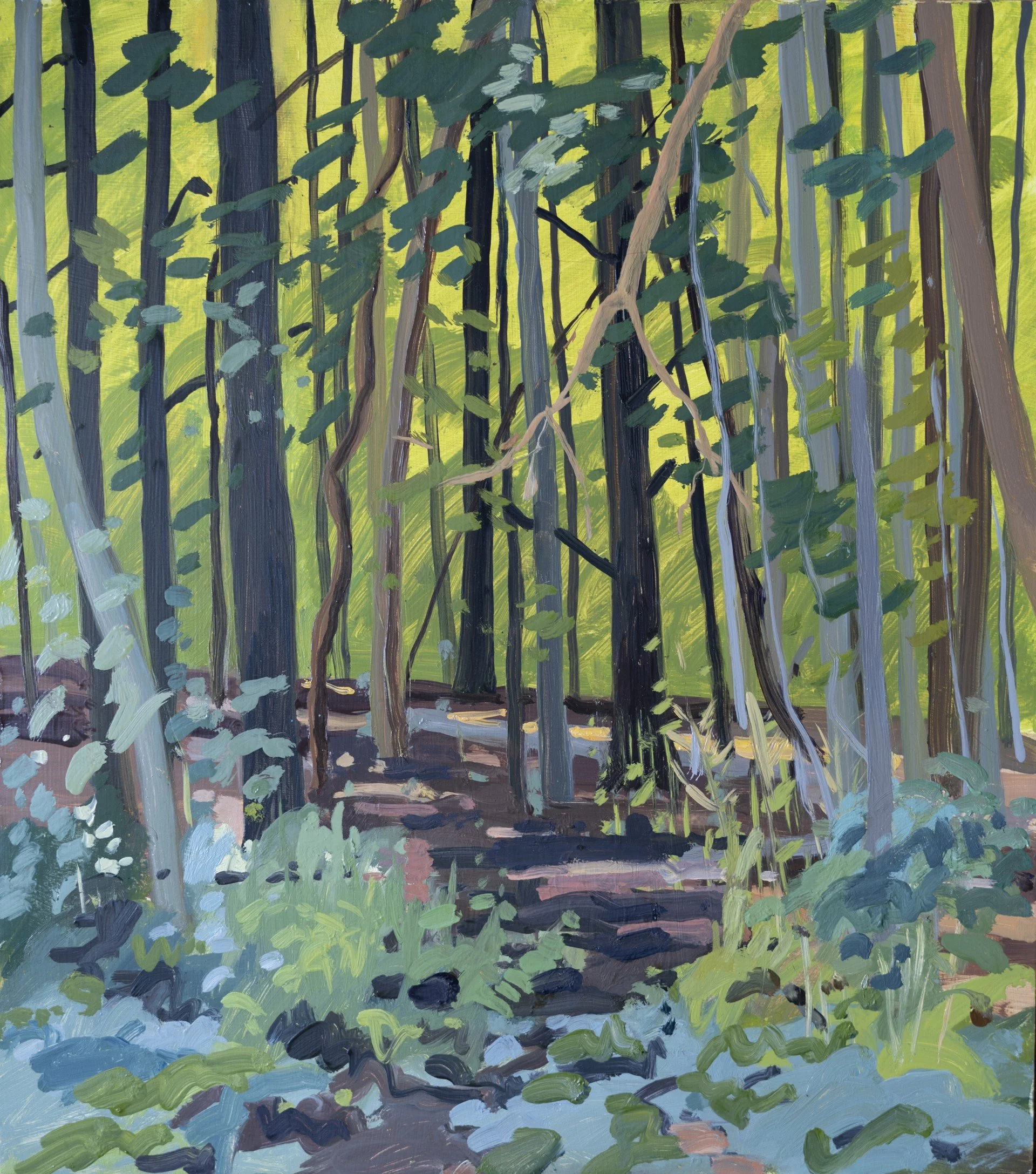 Trees and Undergrowth, 2024, oil on panel, 17 x 15"