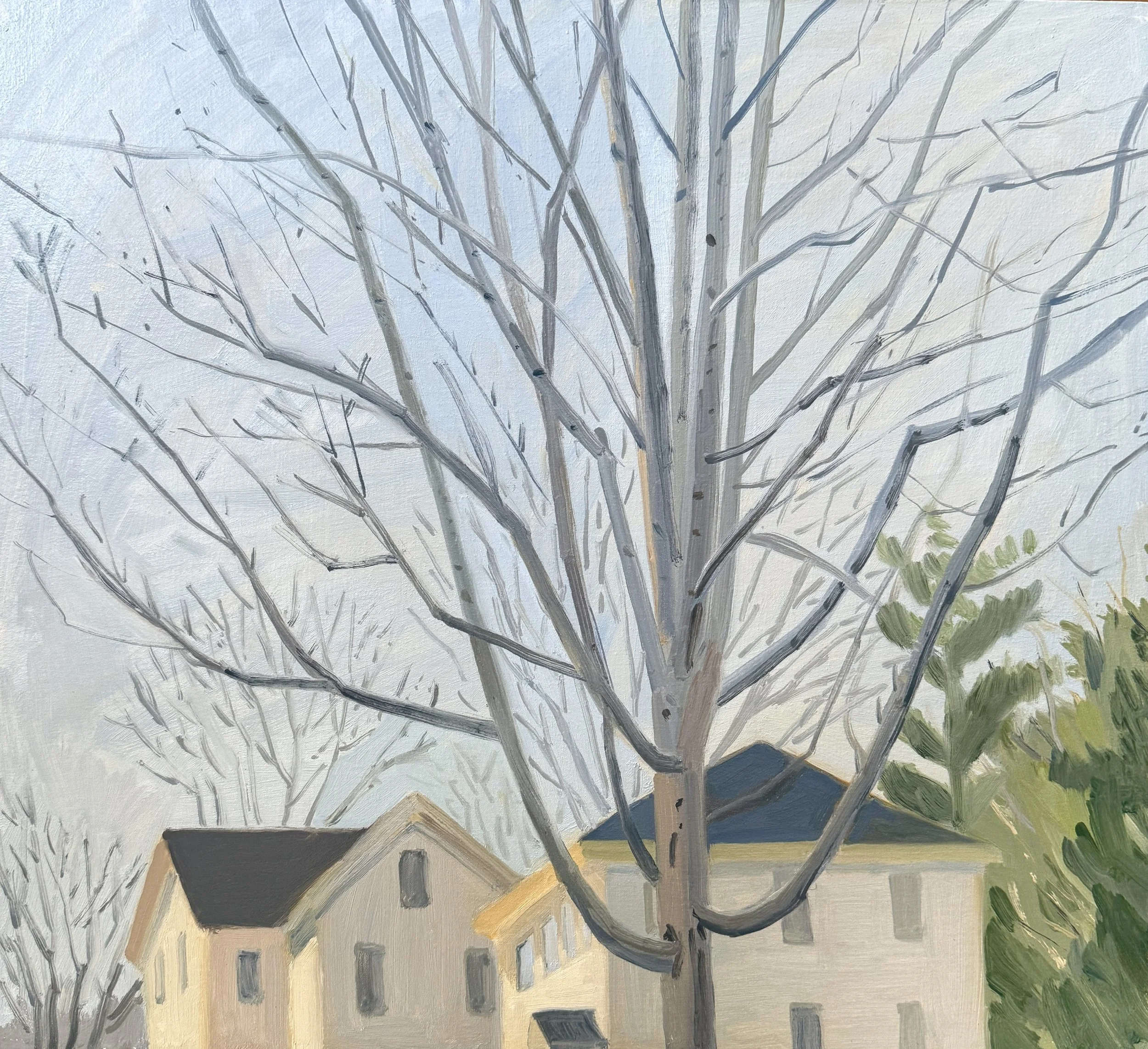 Tree Branches, 2026, oil on muslin-covered panel, 15.5 x 16.5”