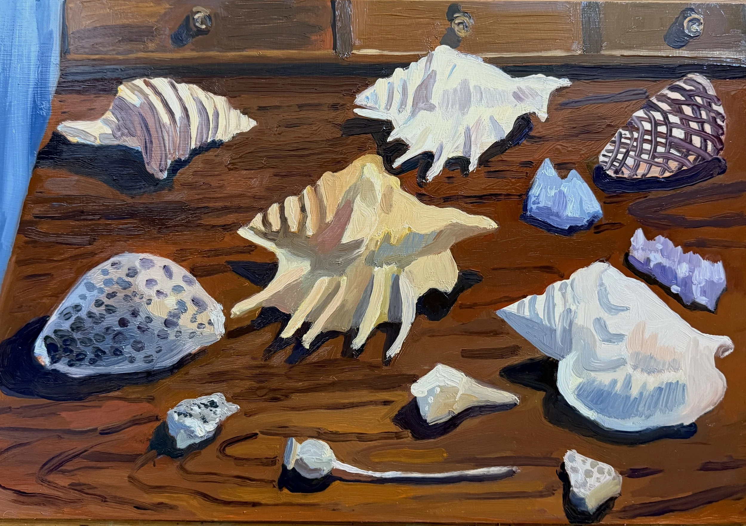 Shell Collection, 2026, oil on panel, 11 x 16"