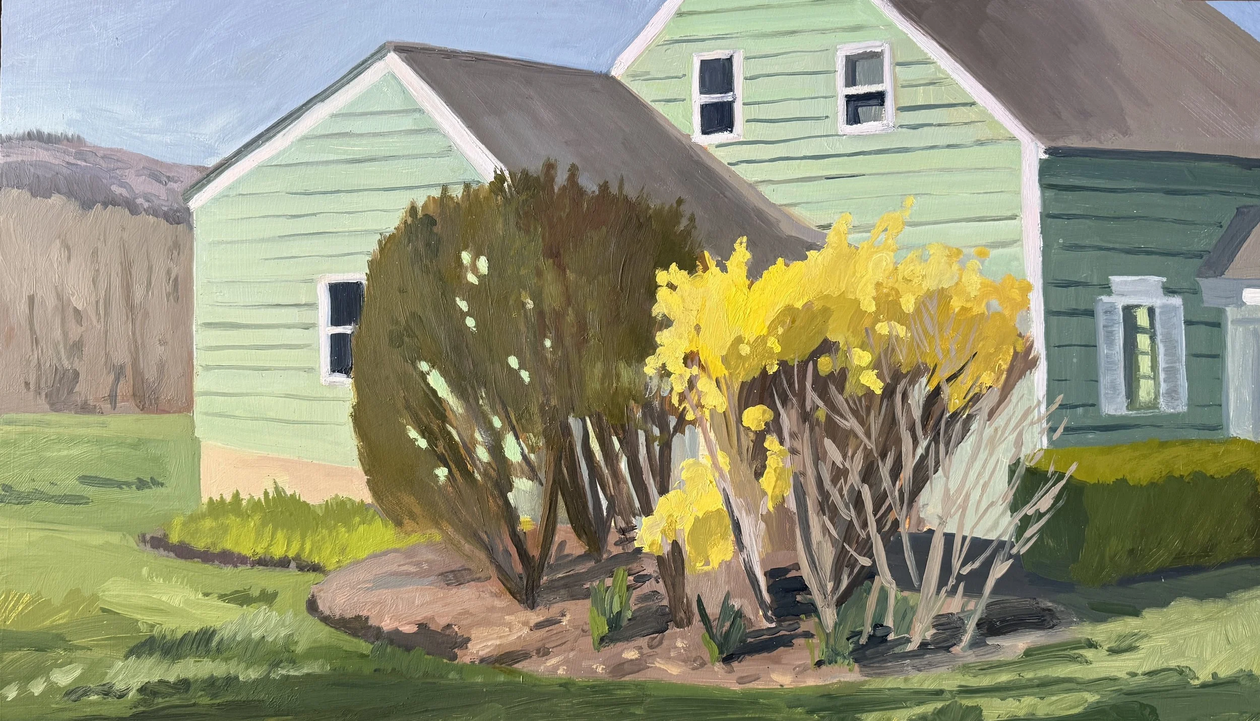 Emily's Forsythia II, 2025, oil on panel, 11 x 16"