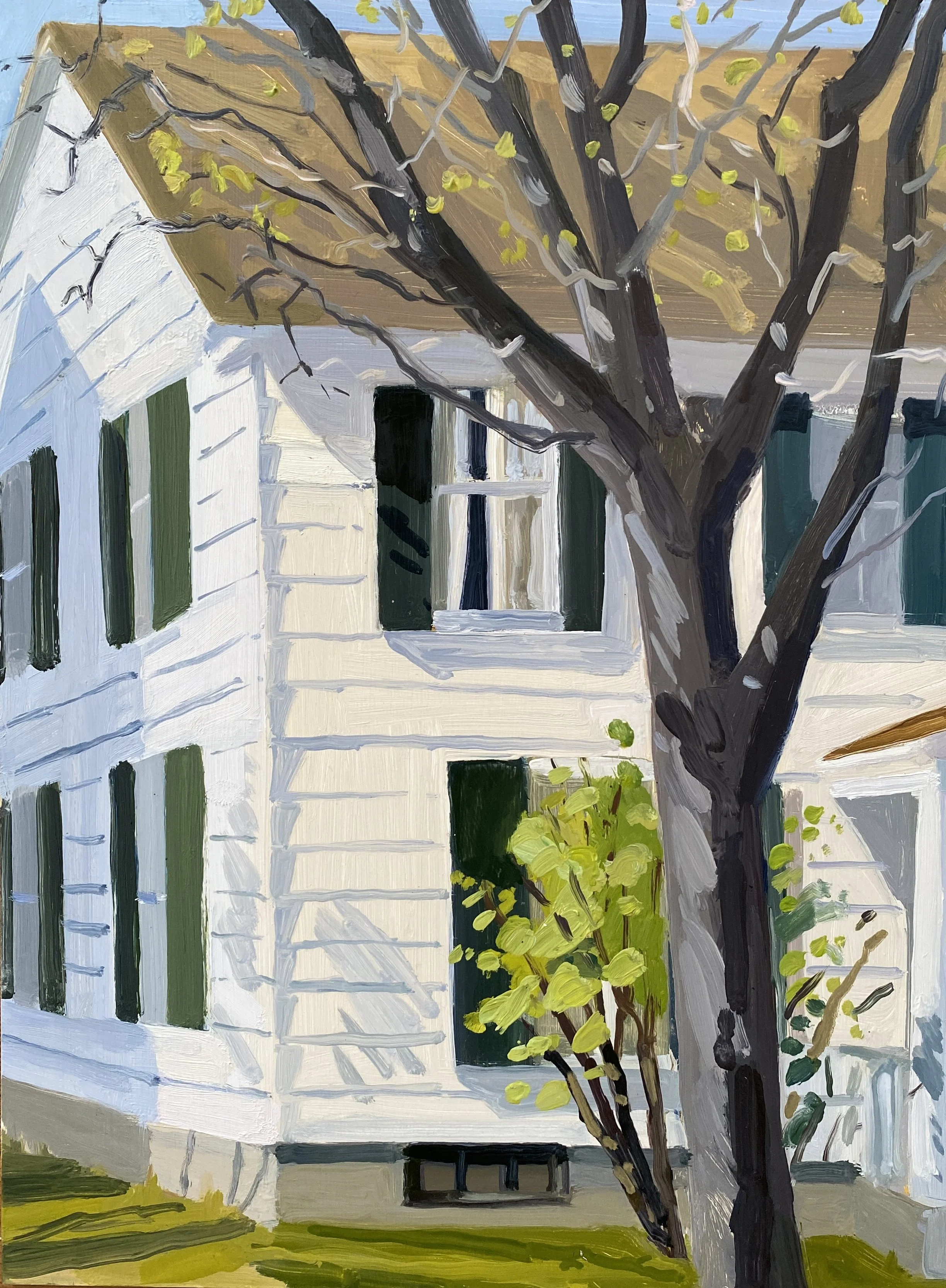 Open Curtains, 2024, oil on panel, 20 x 16"