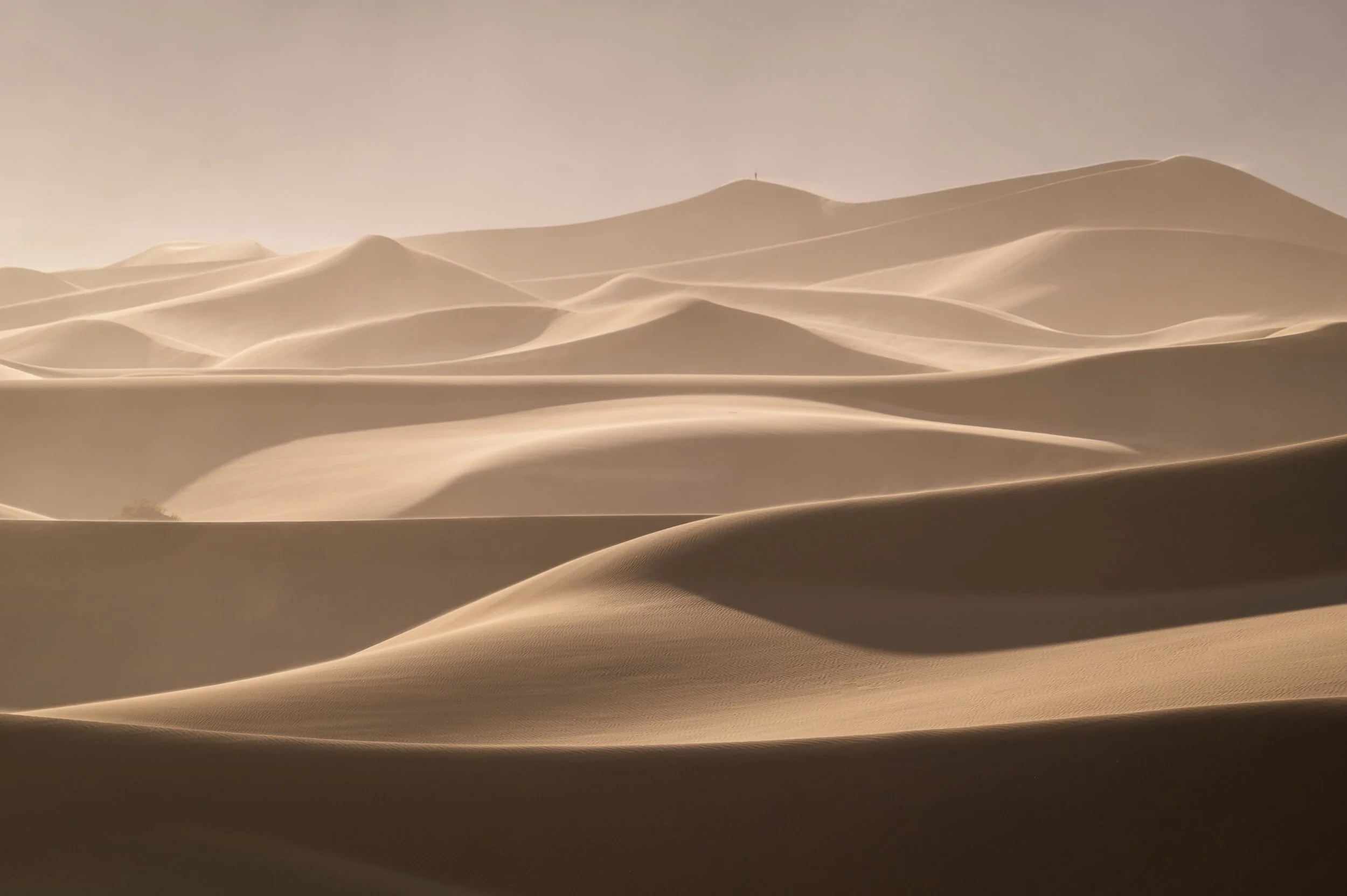 Law 360 Article: Fiduciaries Must Revisit ERISA Origins