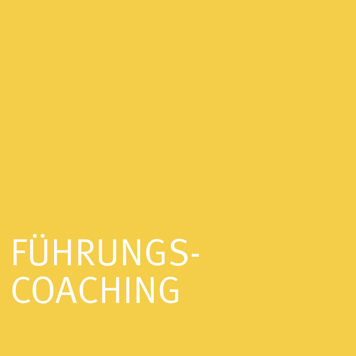 Führungscoaching