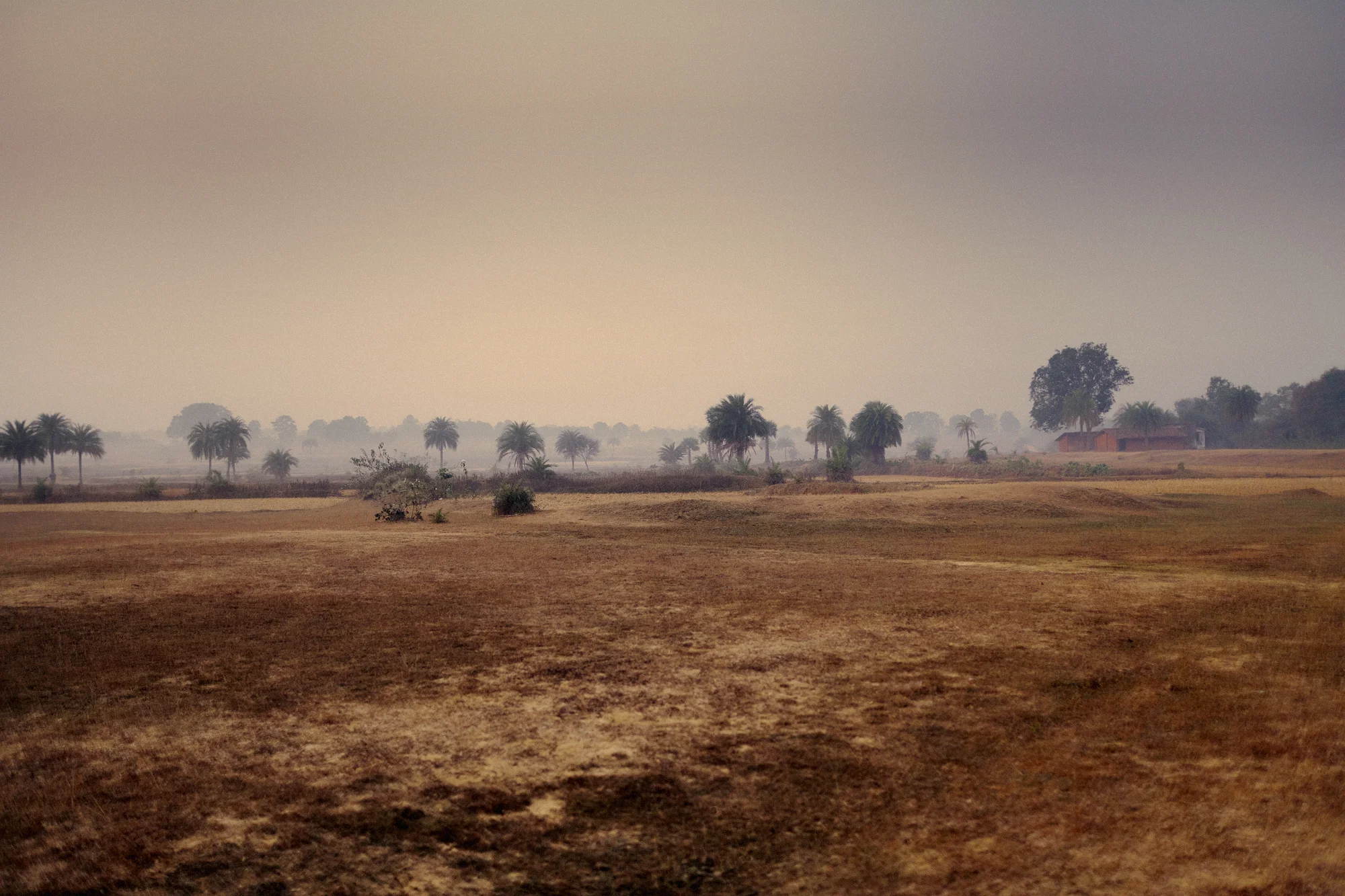 India_0003 1.jpg