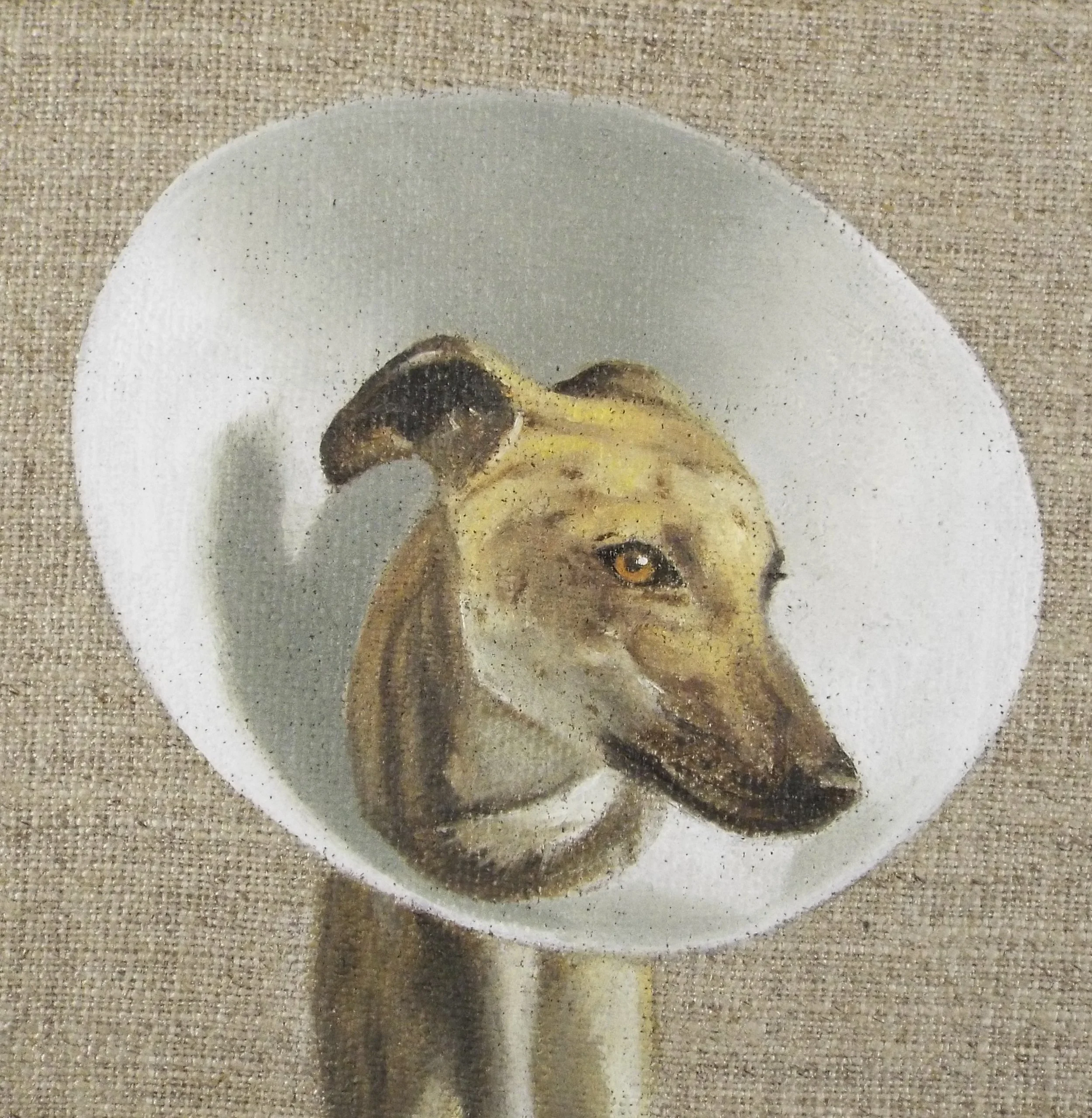 DSCF1213.jpg
