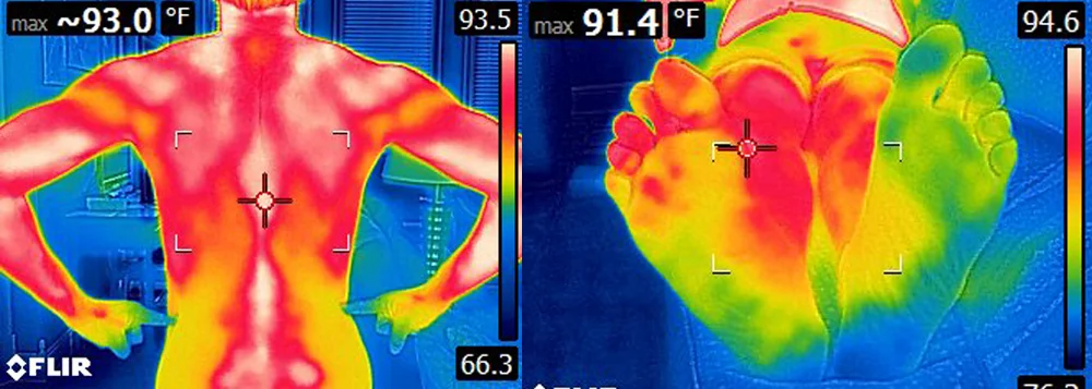 InfraRed Thermal Imaging Services.jpg