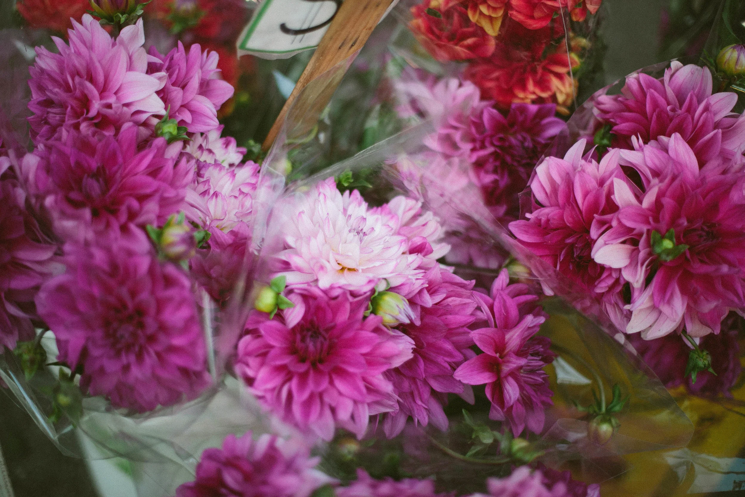 5 Breast Cancer Prevention Tips Every Woman Can Do Right Now
