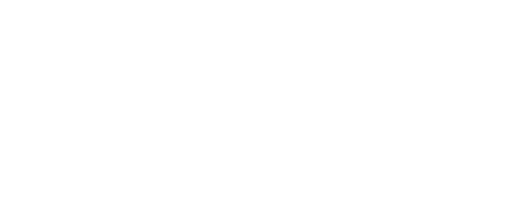 No Limit Agency