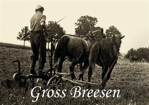 horseandfriedel.jpg