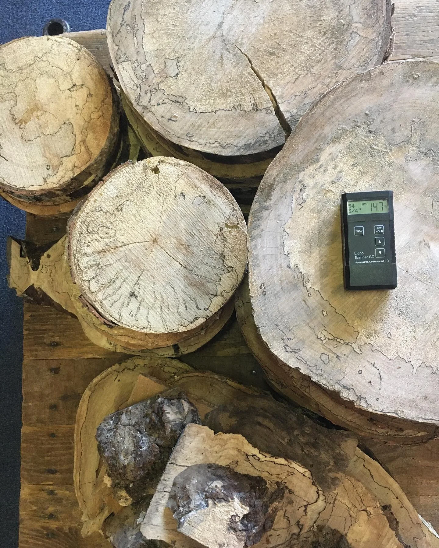 🍪NEW Green Cookies🍪
&bull; You guys seemed to have a lot of fun with the last ones so we made some more maple cookies. 
These are spalted. 
We also have some big burl and small burl pieces. 
&bull;
&bull;
&bull;
#woodcookies #liveedgerounds #softma