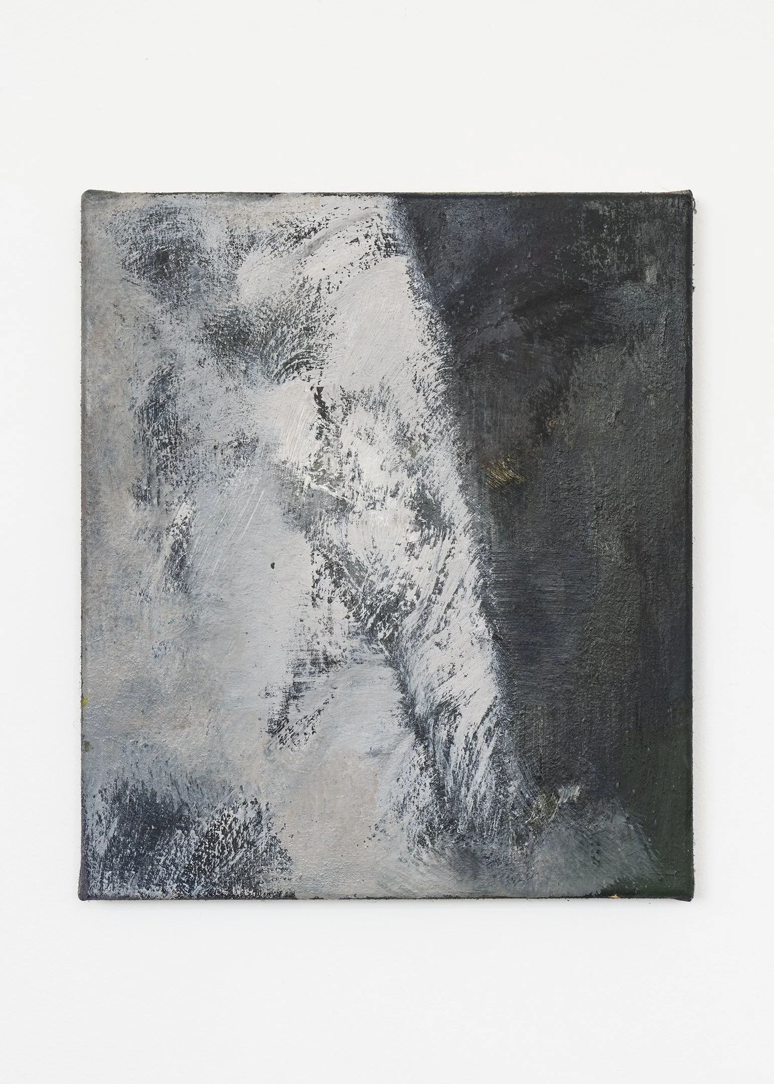 Untitled (2026)