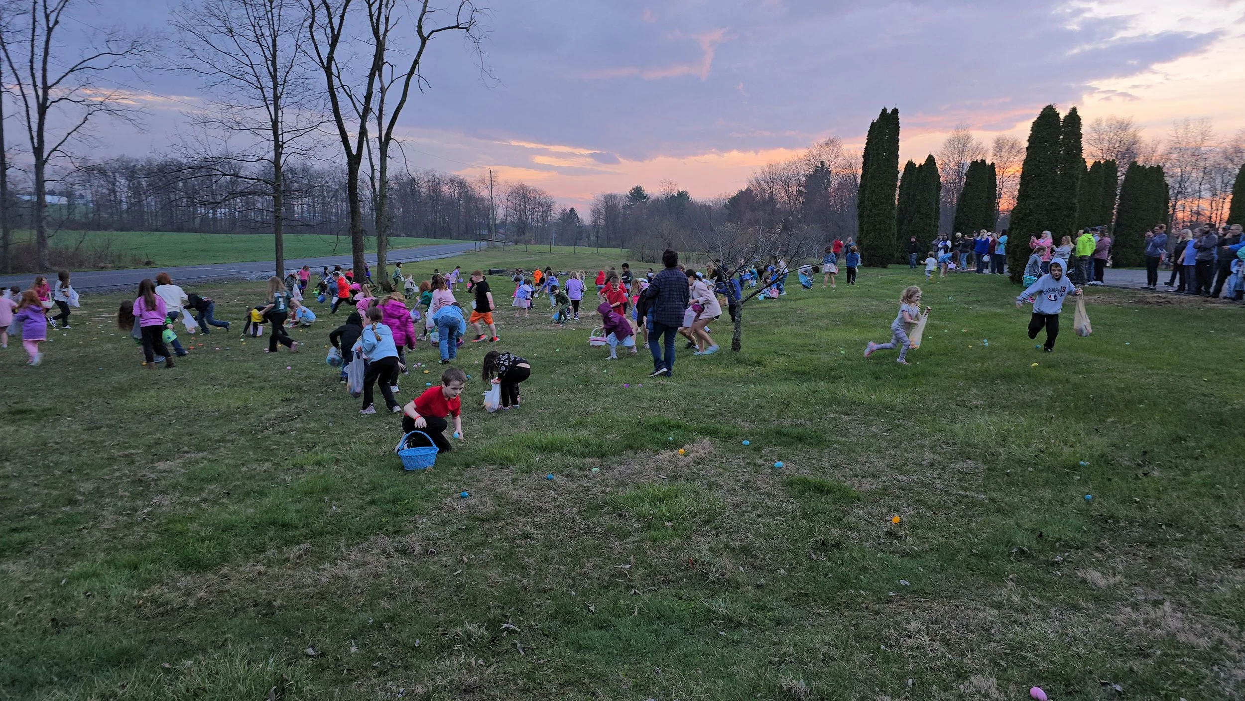 20260403_192918.jpg