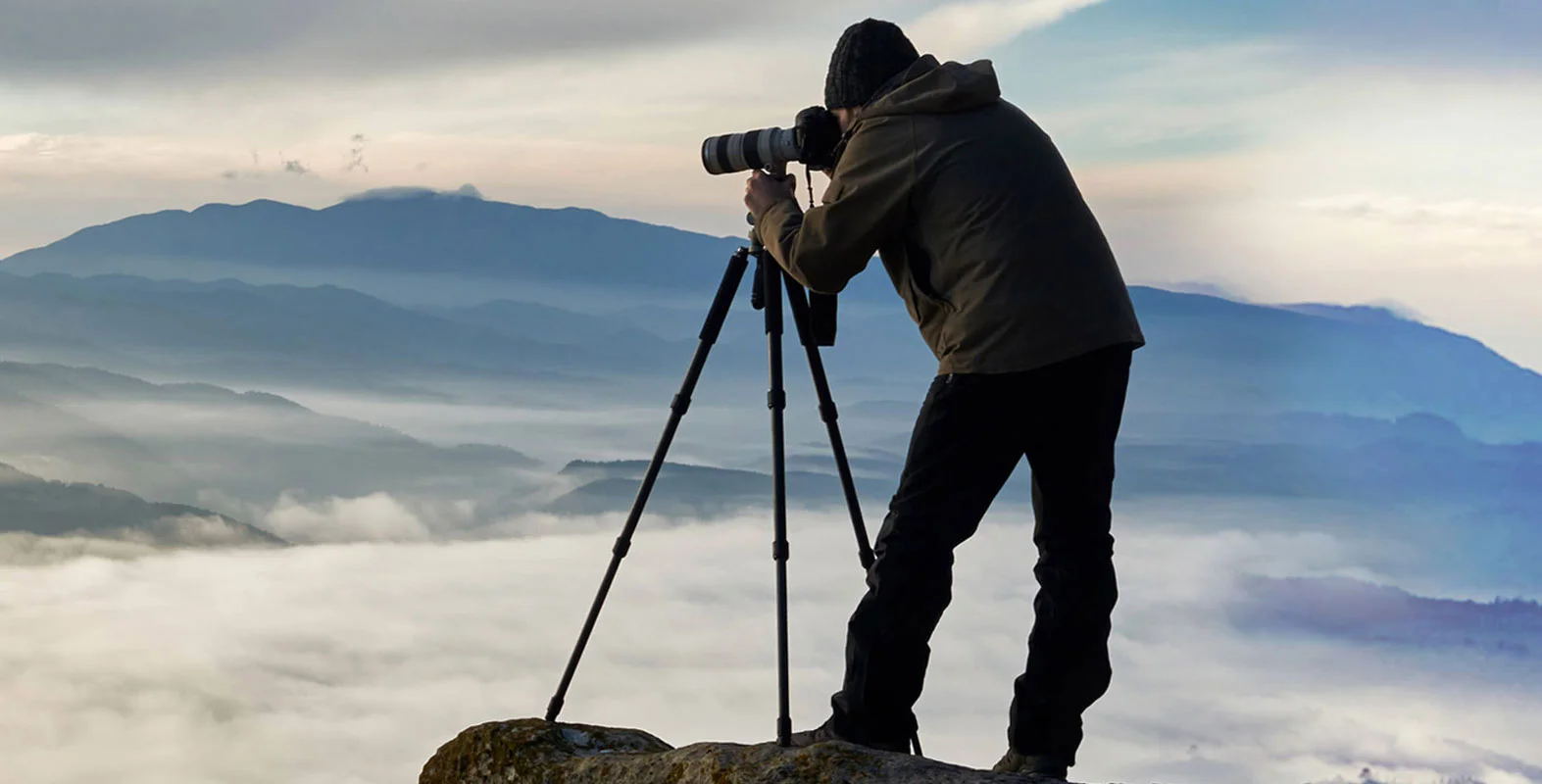 Purpose in the workplace