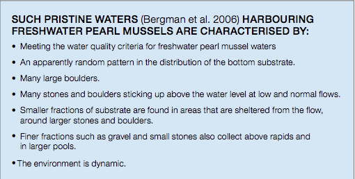 WATERSLIDE.png