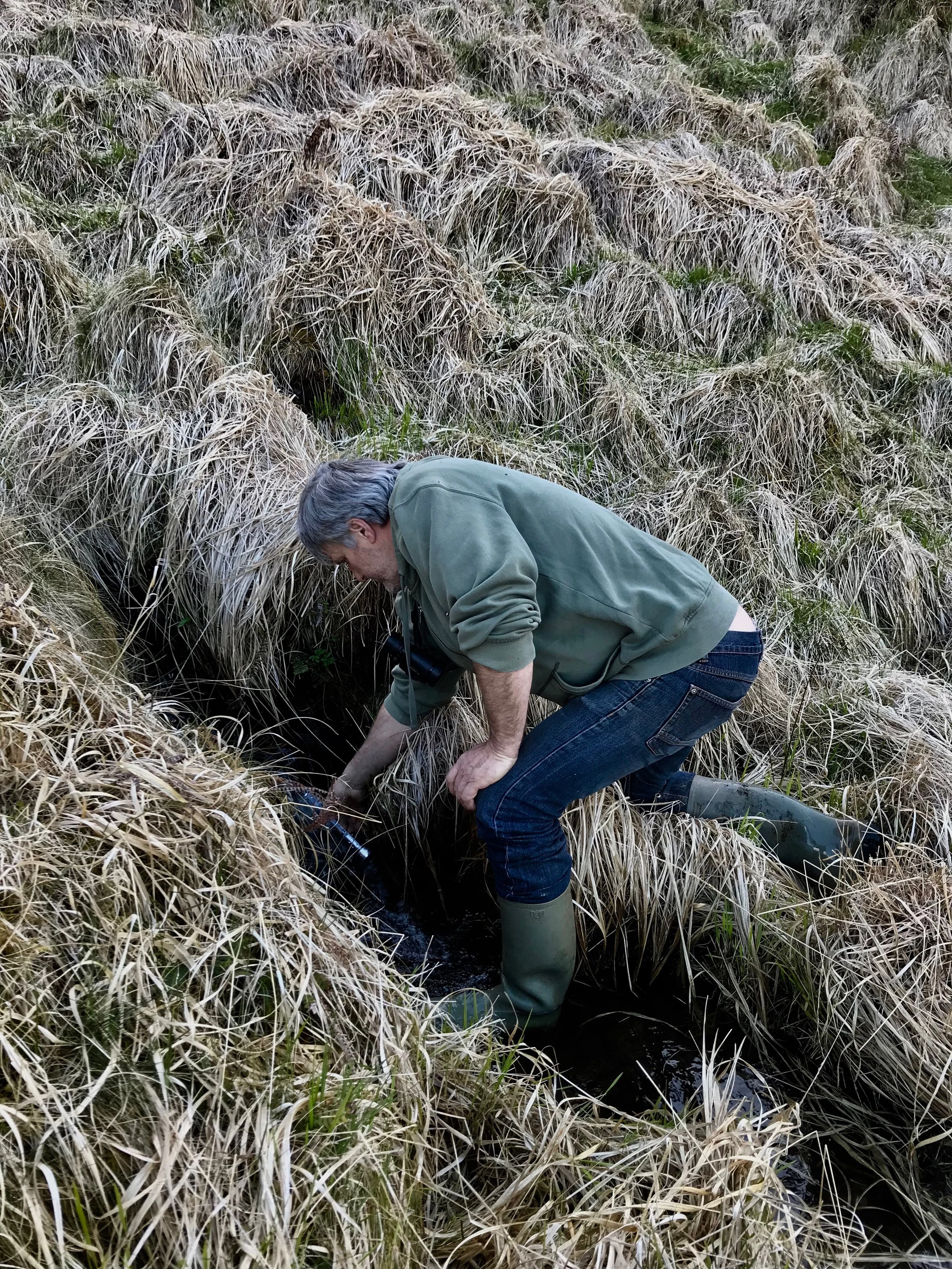 Mick Hoey spent 35 years at sea fishing. He is a musician and a specialist on plant-life. He lives idyllically over-looking Cork Harbour. Mick volunteered to scale the mountain and collect the Pure Drop at the source of the Lee.