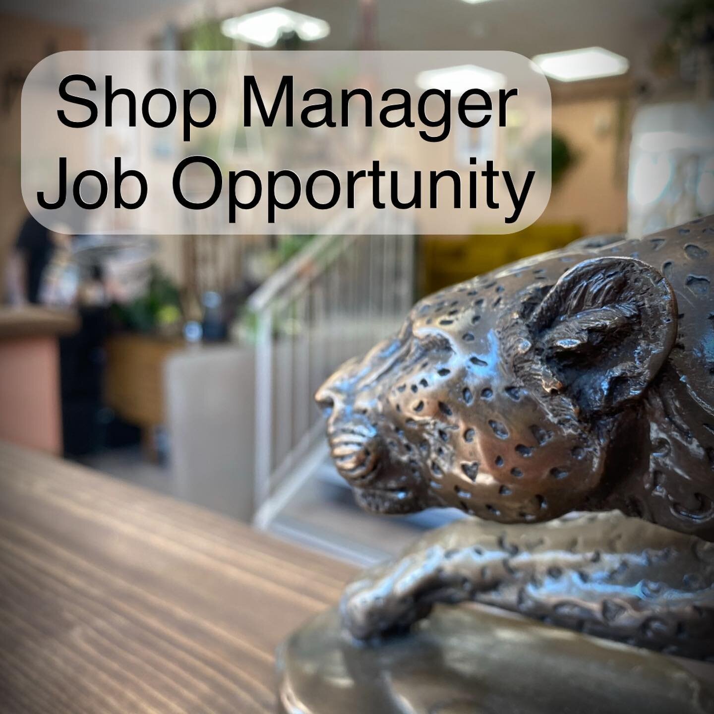 I am looking for a Shop Manager for @blacksheepbristol 
This will be an employed role, with monthly pay and lots of great benefits. Beginning at 3 full days per week and flexing up as the pandemic changes. 
Requirements 
- over 18 
- computer literat