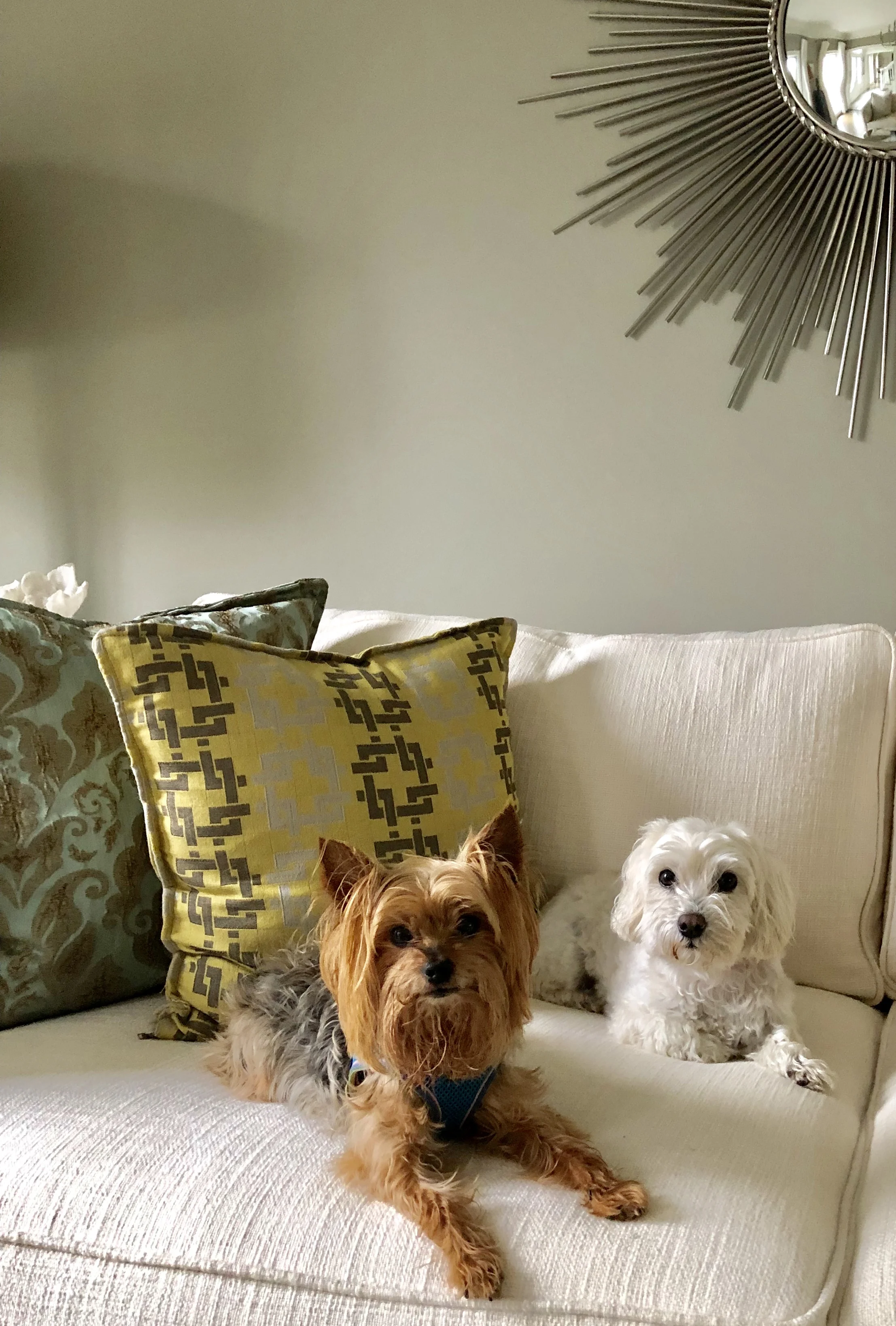 Designer Tip: My favorite household cleaners