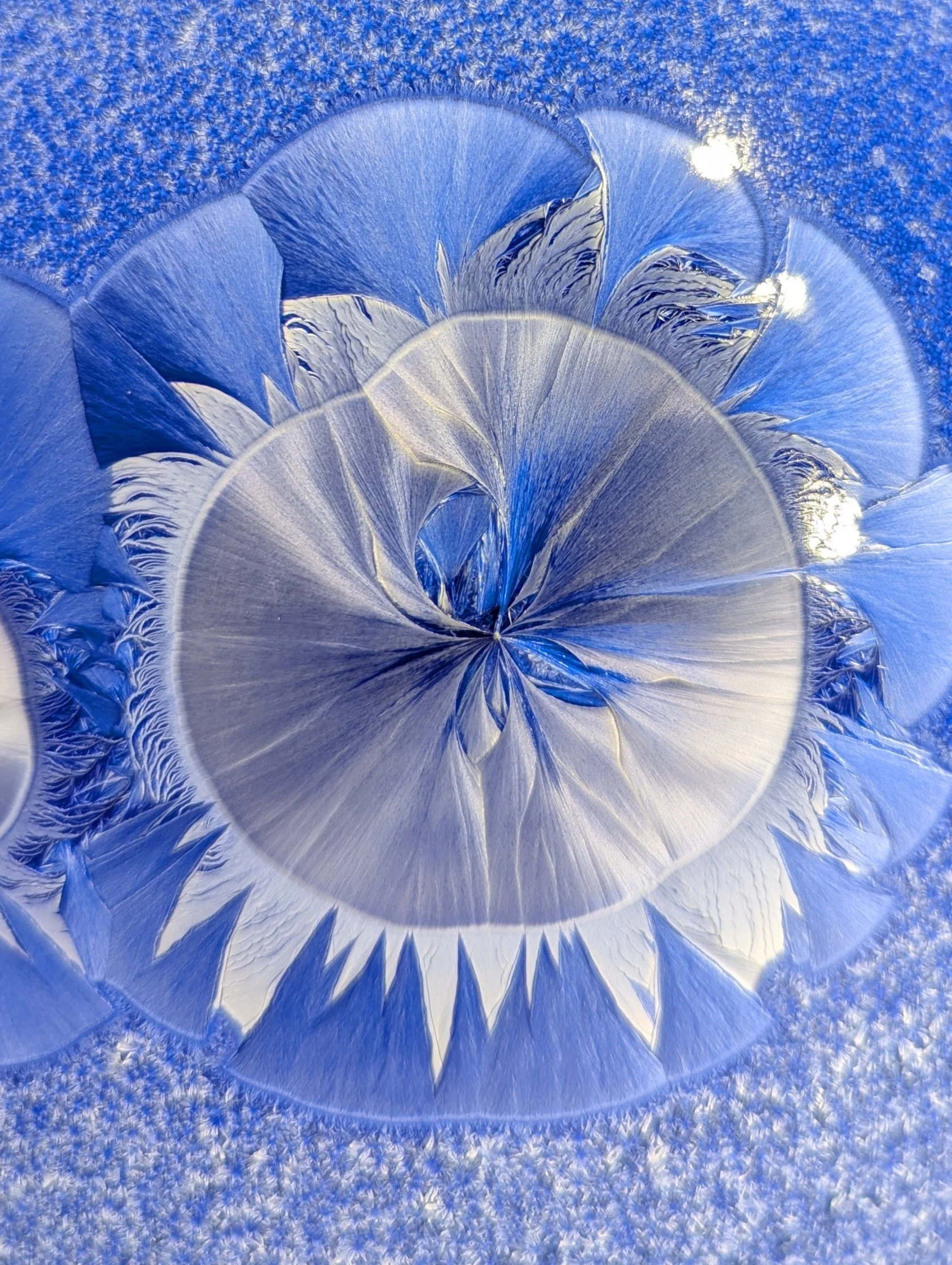 original_f30ee623-585c-4e7b-9082-0bd917cf197a_PXL_20260930_213414923.jpg
