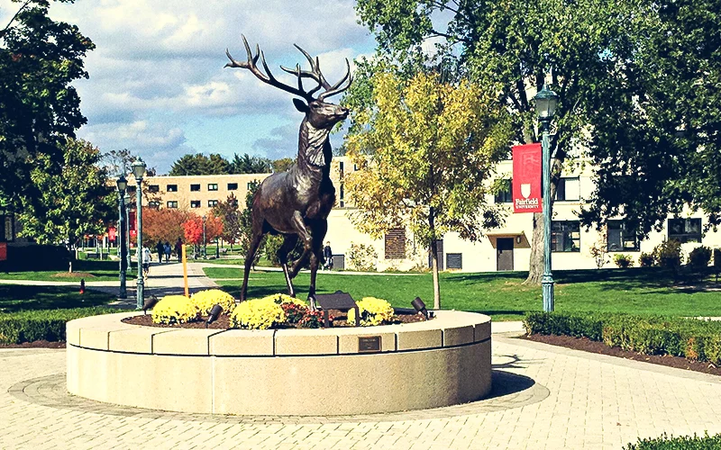 city-11-fairfield-university.jpg
