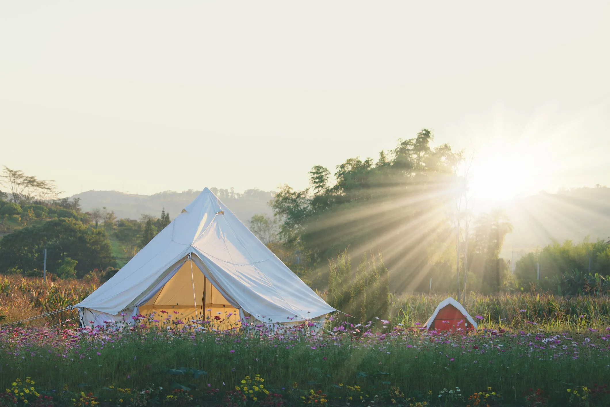 Lux Bell Tent.jpeg