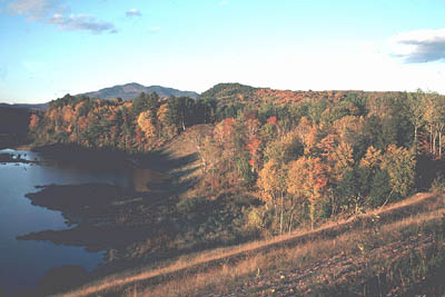fall.jpeg