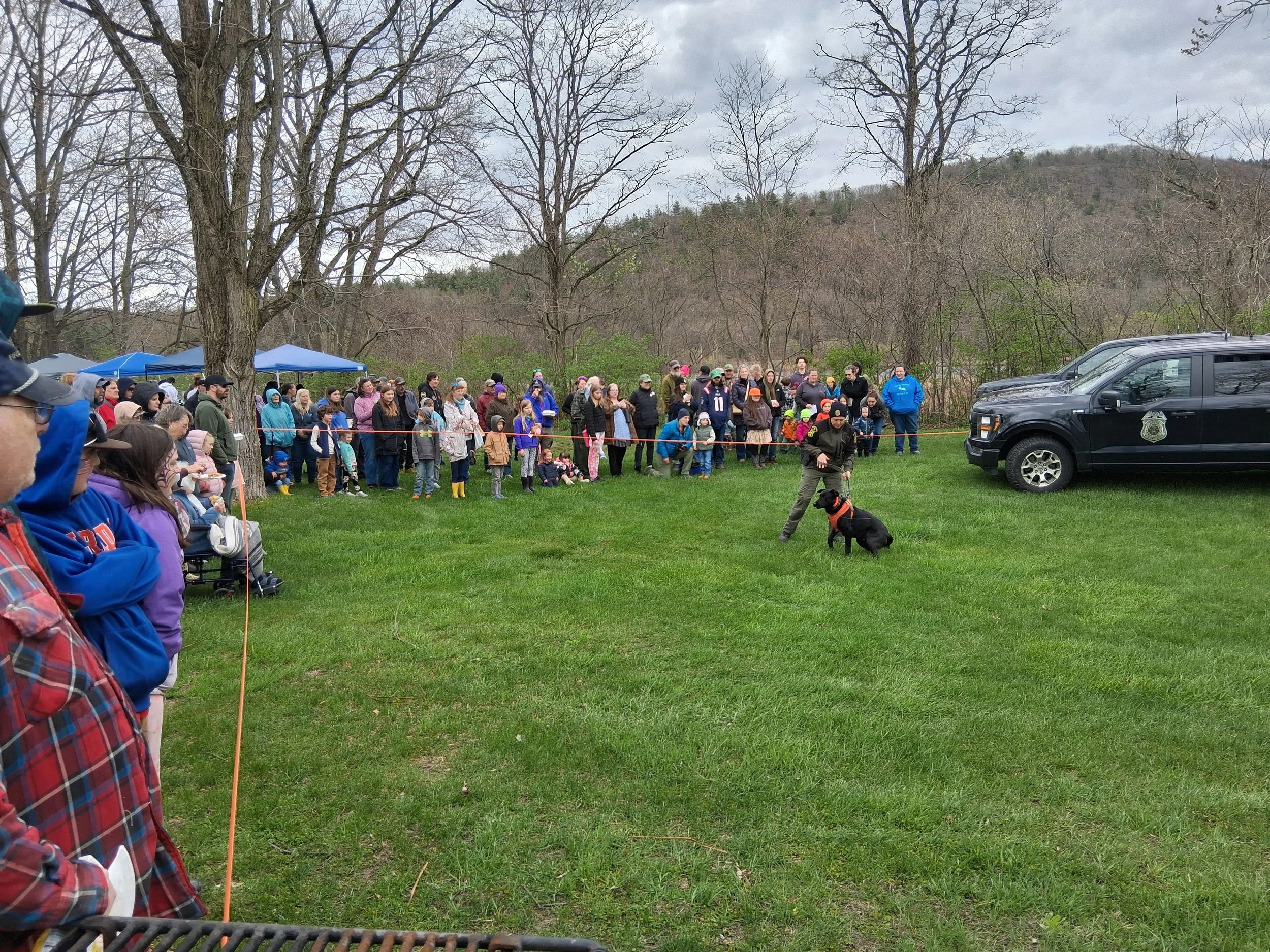 Dog20260503_115740.jpg
