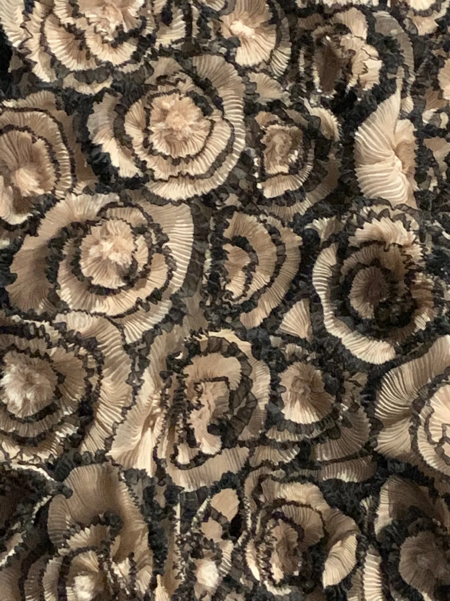 Mushroom swatch Dior.jpg