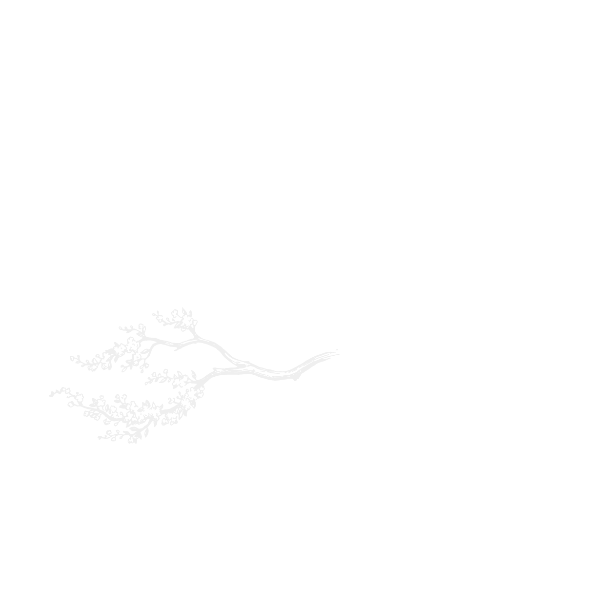 Alder Photography