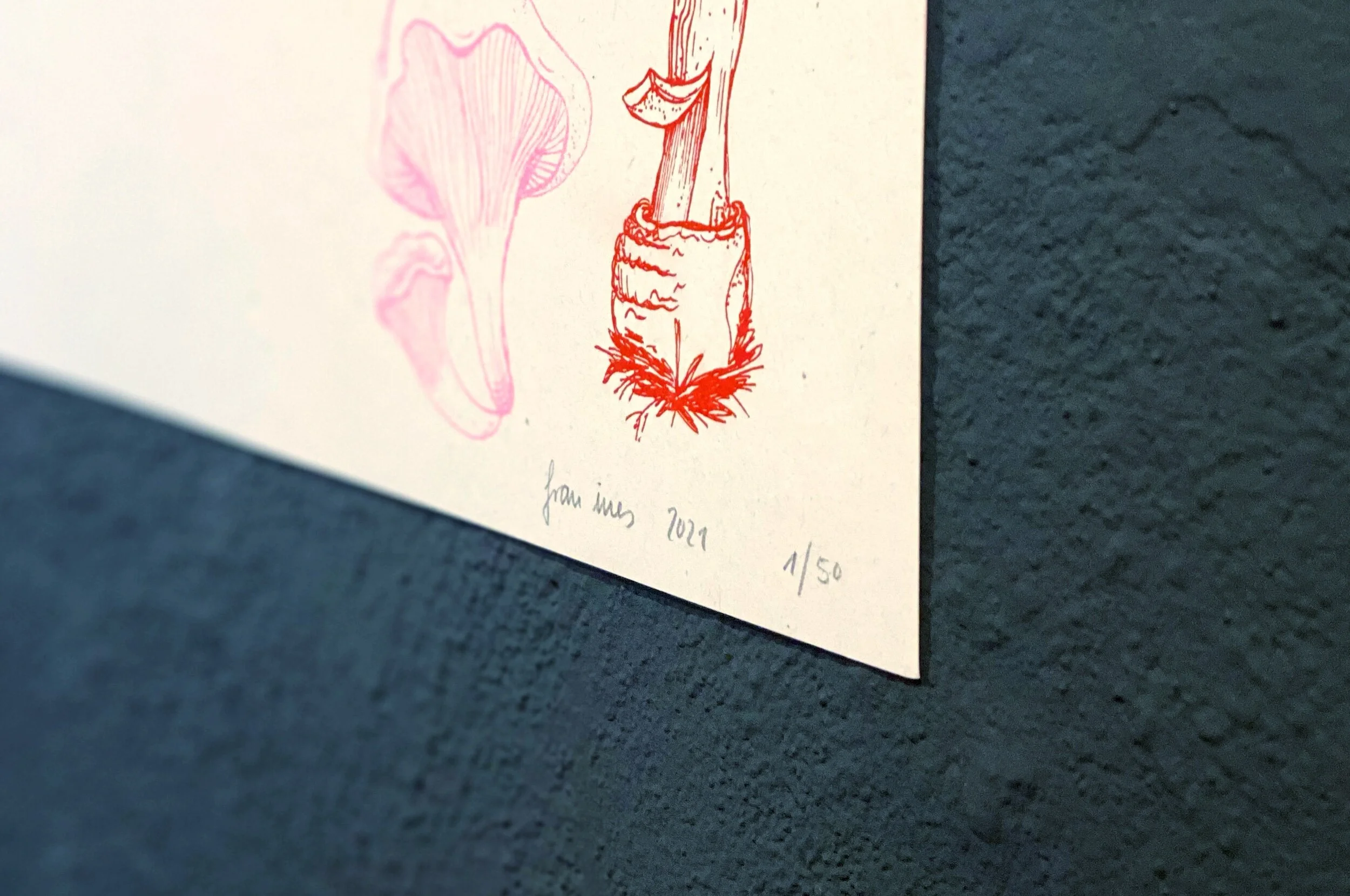 E6EA2835-452D-43F2-B73C-A5FE3E84208C