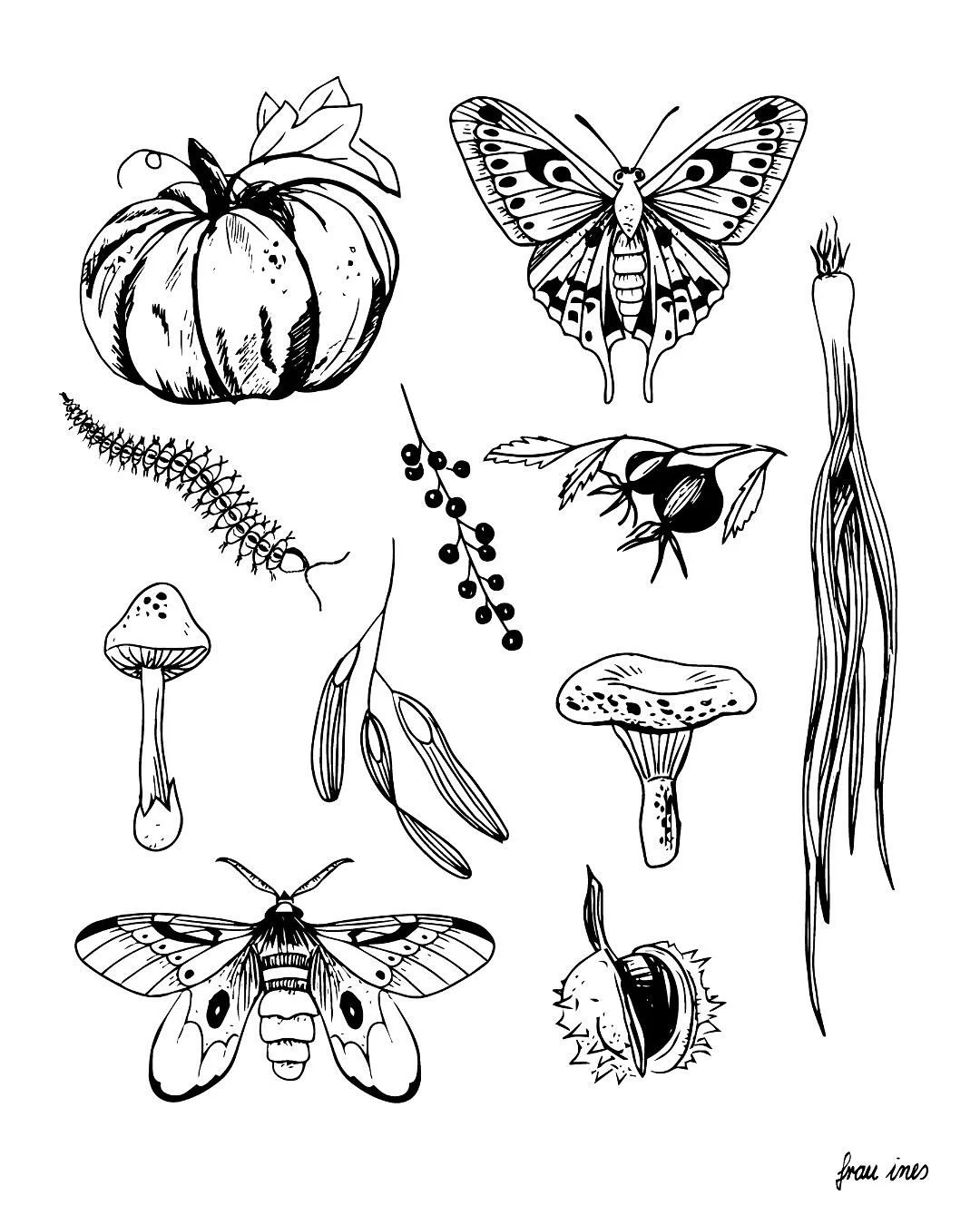 Happy Erntedankfest! 🌲🍎🌽🍁First new Autumn Flash available to book! 🫰🏻

Vienna 10-14.10. &amp; some last slots in Hamburg for 2025 🙃 drop a line to hello@frau-ines.de 💌